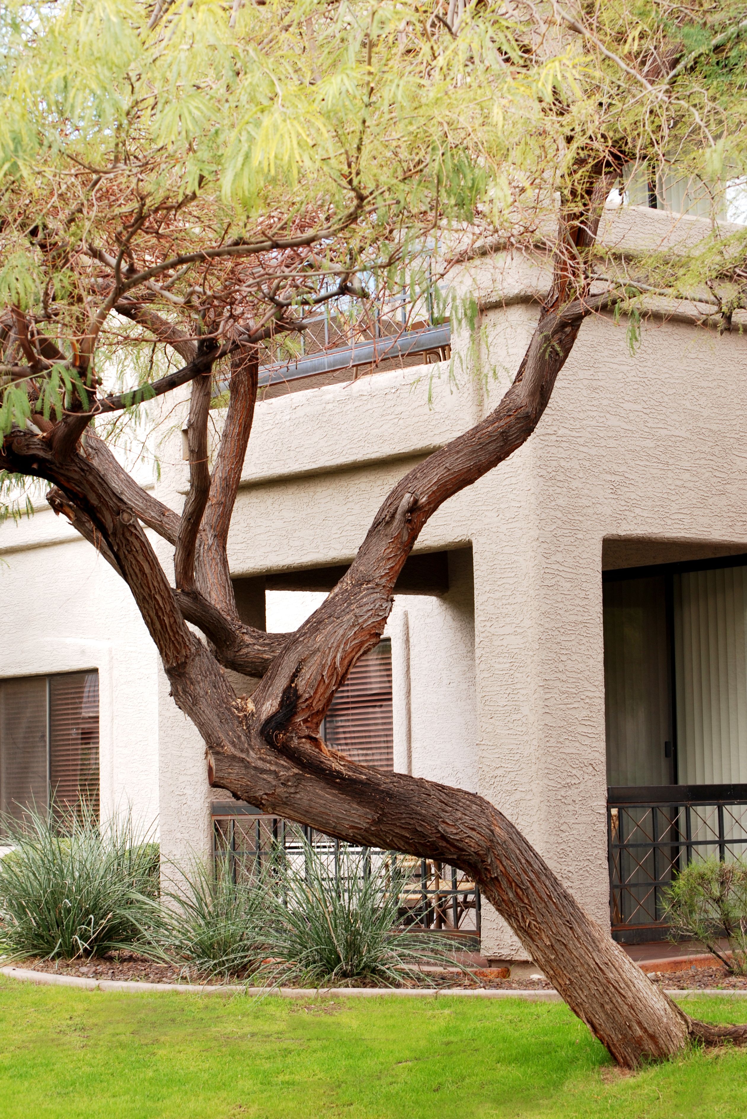 WorldMark South Mountain Preserve by Raintree Vacation Club
