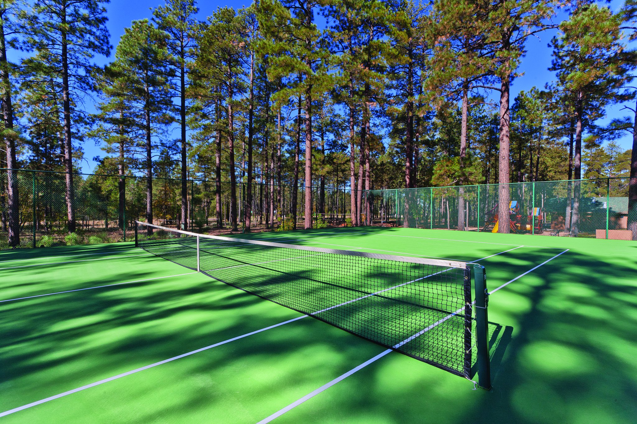 WorldMark Pinetop