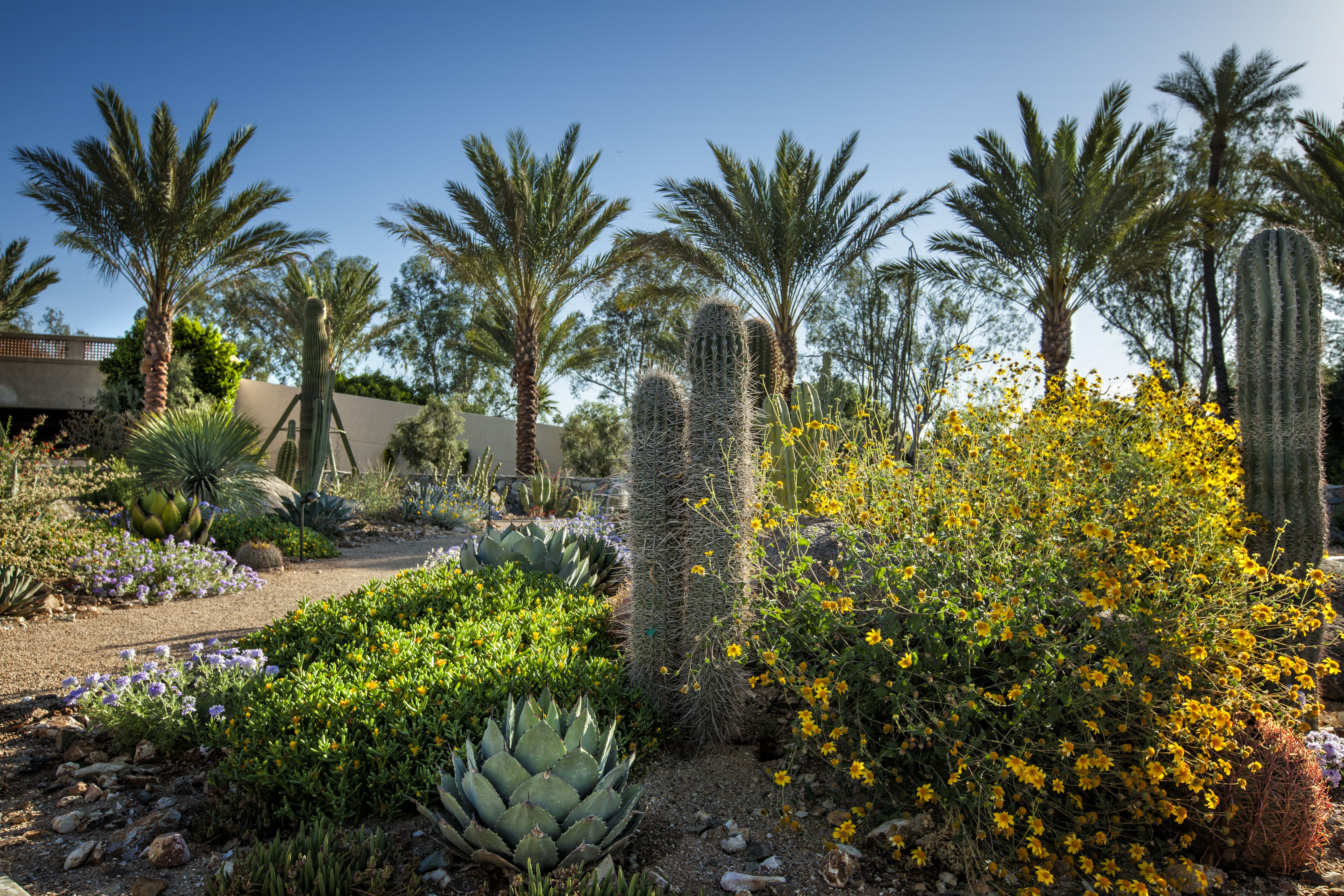 The Scottsdale Resort & Spa, Curio Collection by Hilton