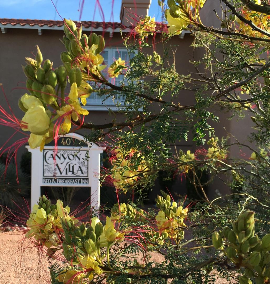 Canyon Villa B&B Inn of Sedona