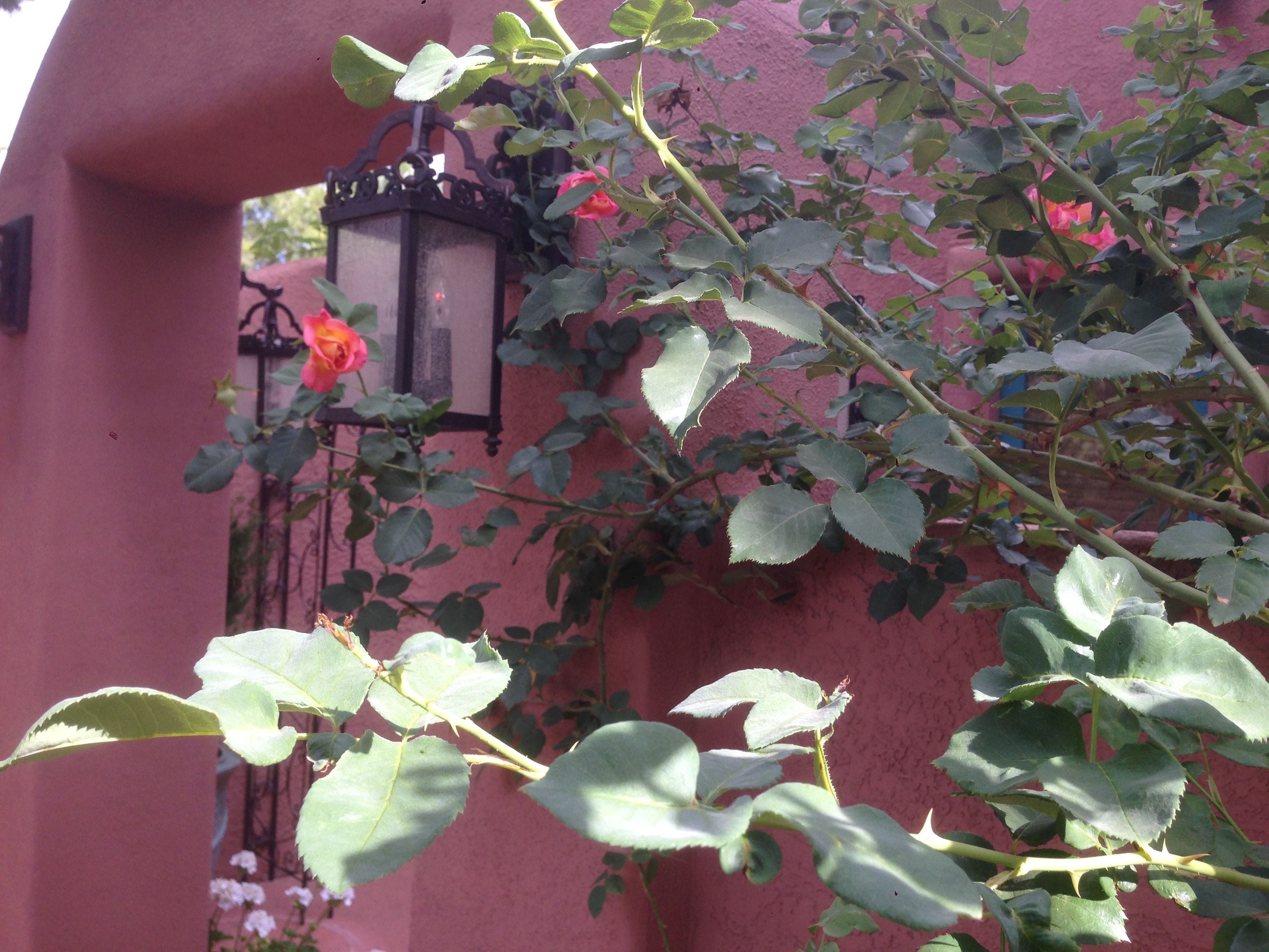 Casa Sedona