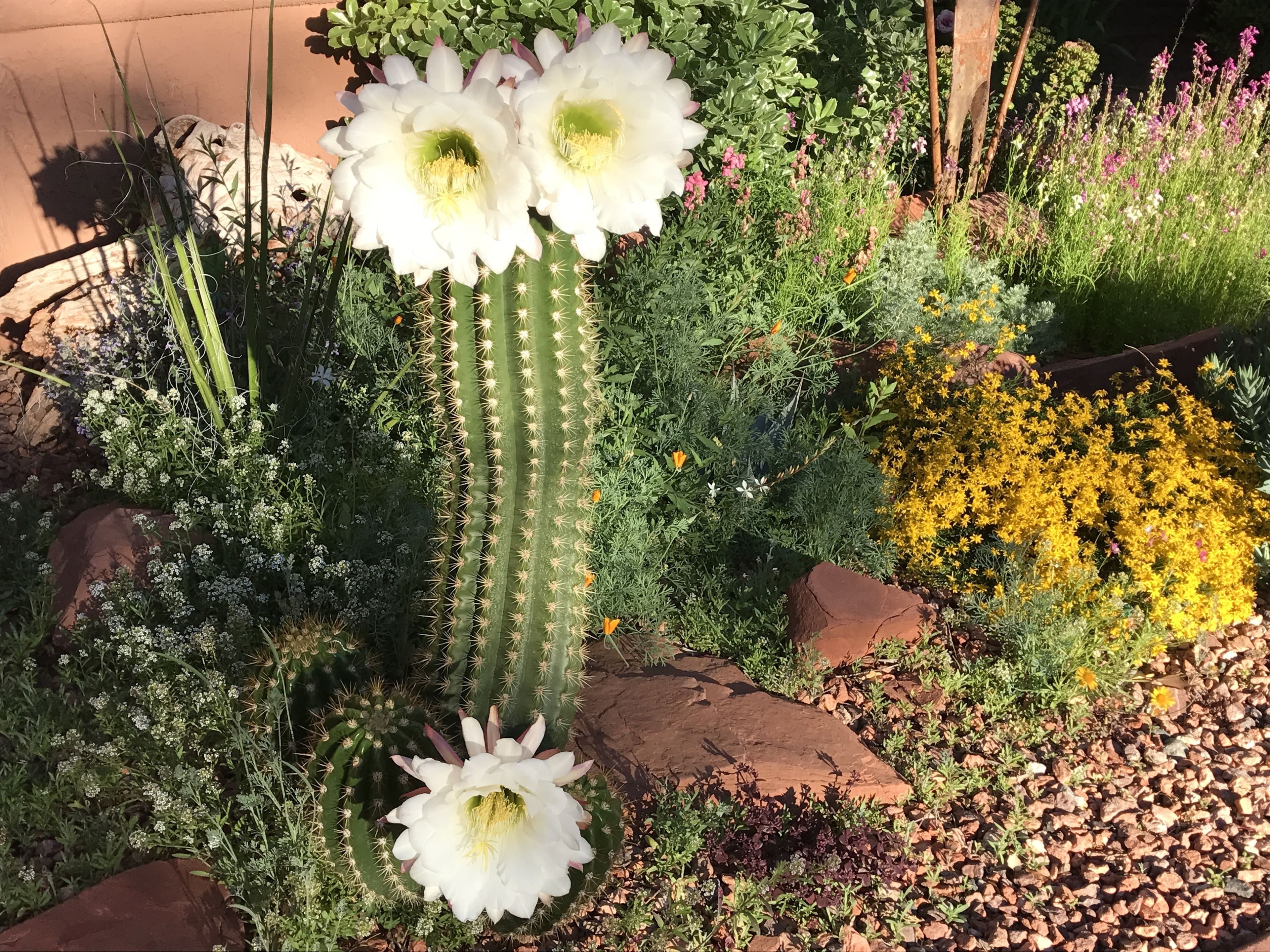 Casa Sedona