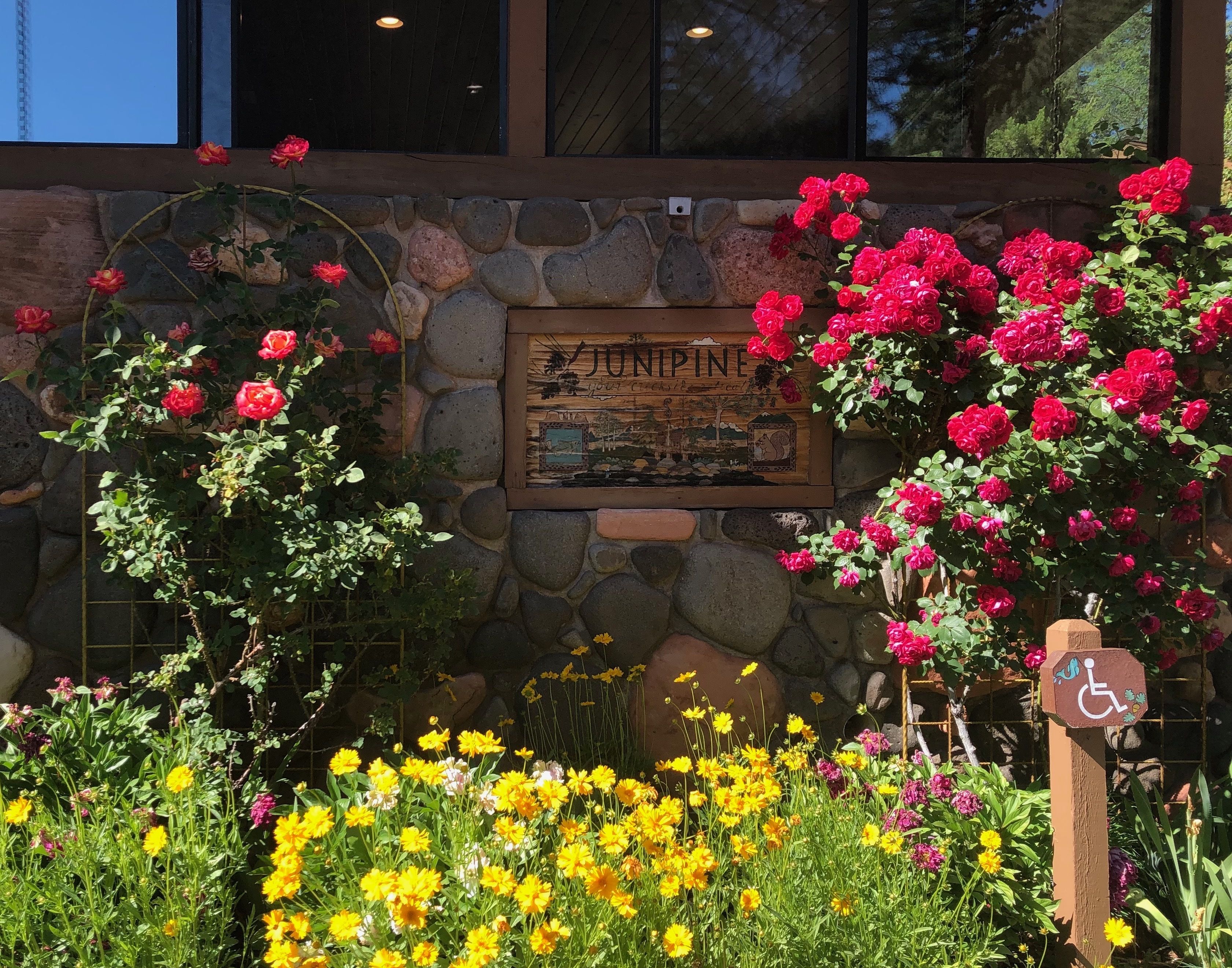 Junipine Resort