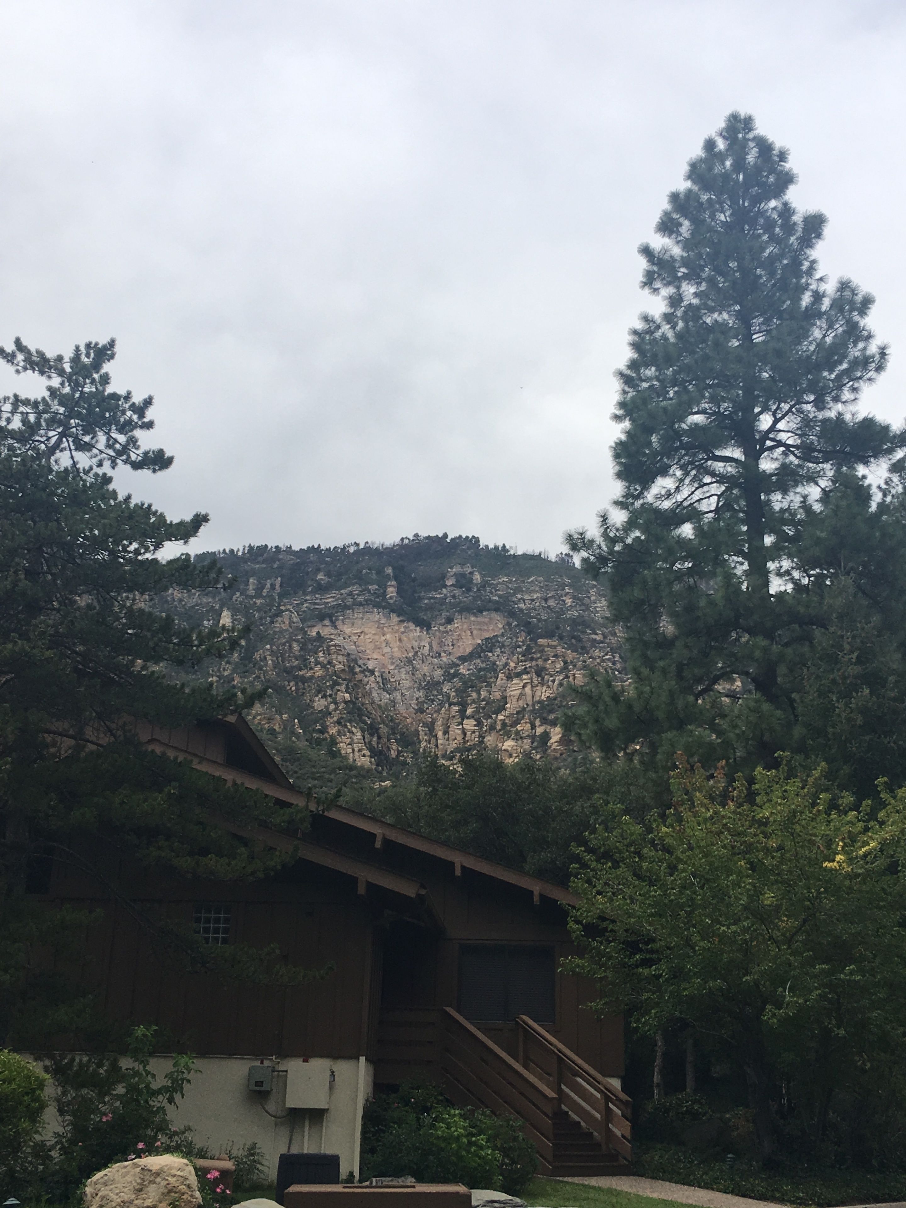 Junipine Resort