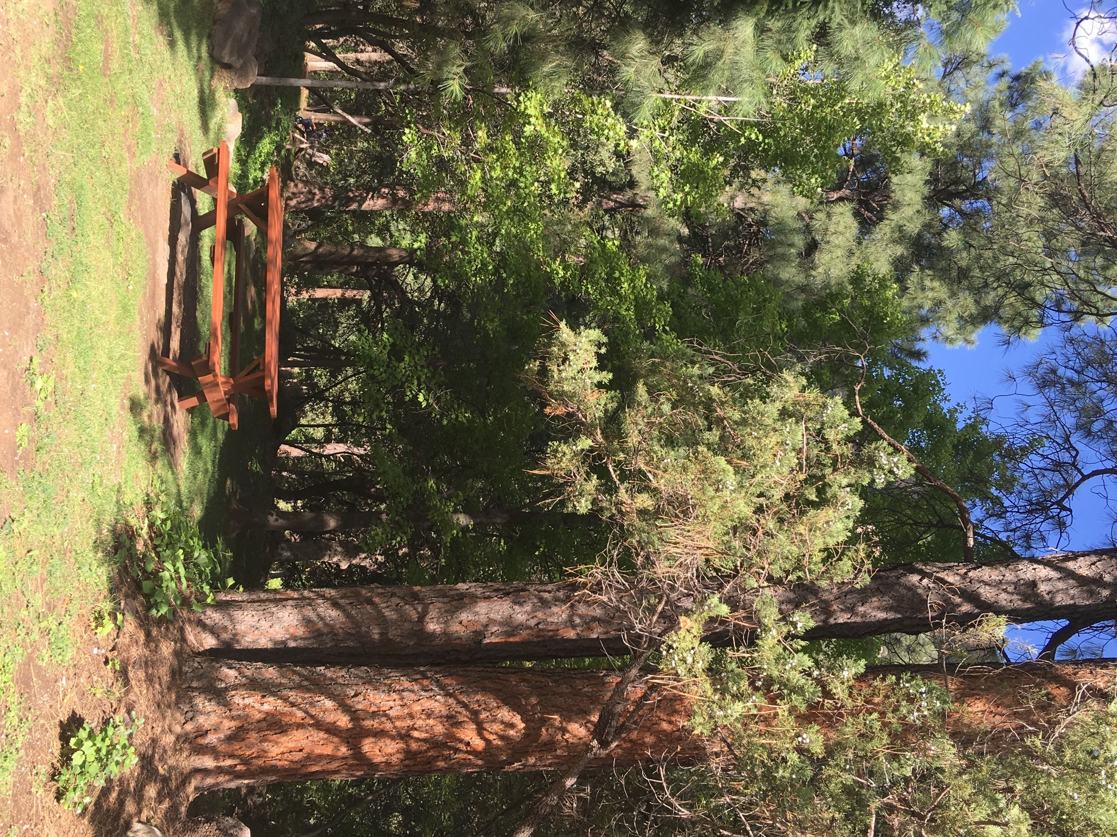 Junipine Resort
