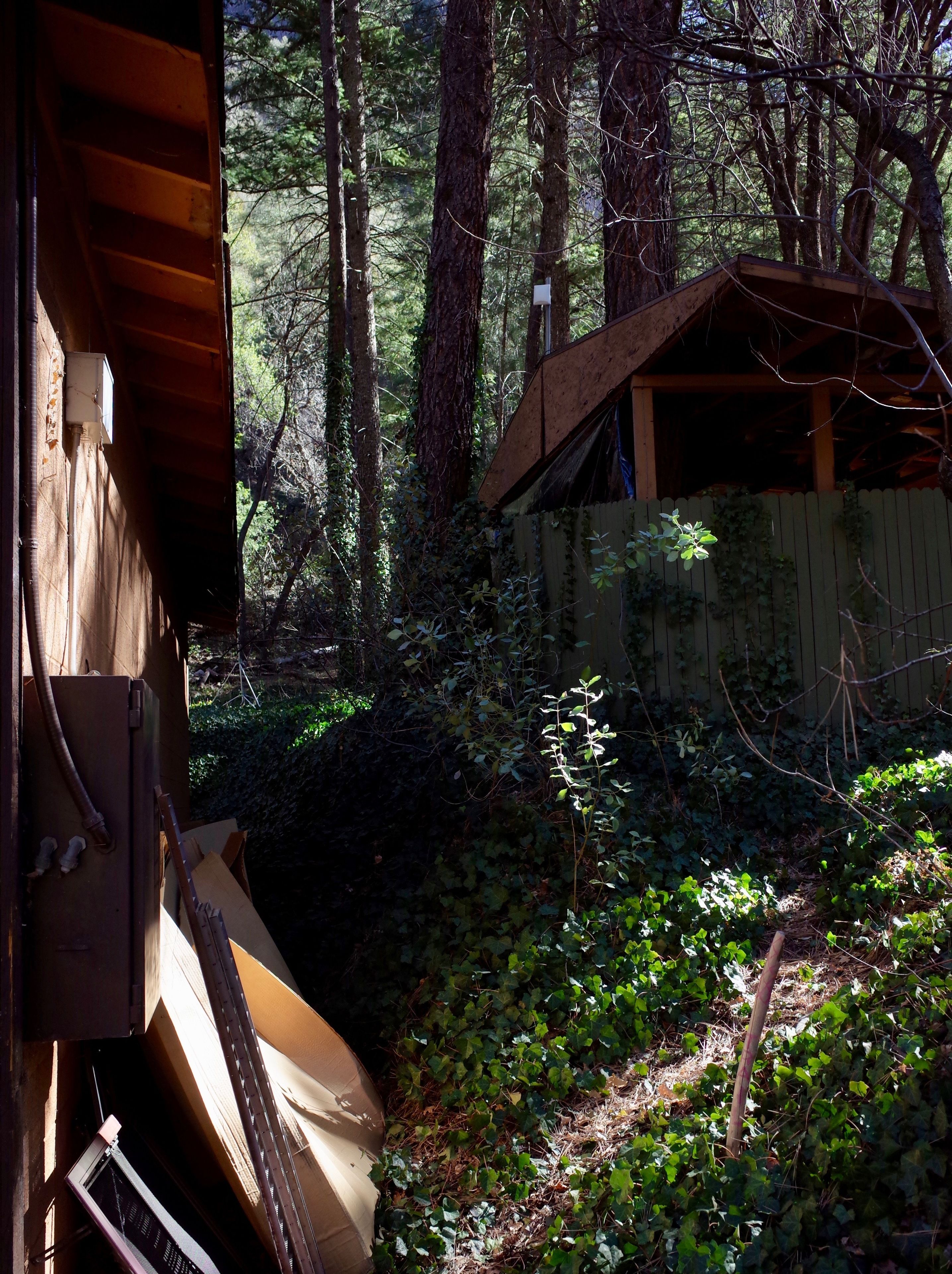 Junipine Resort