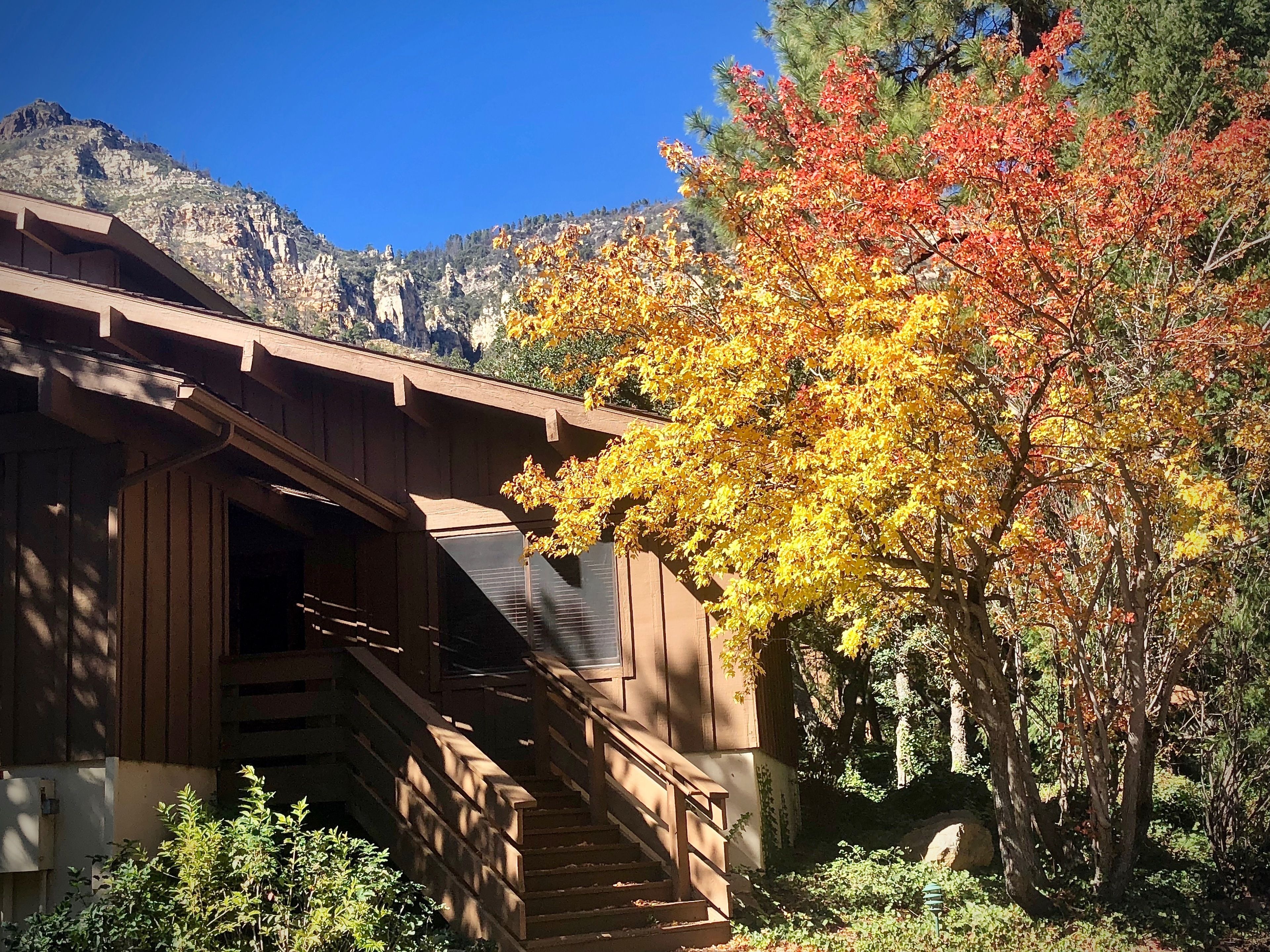 Junipine Resort