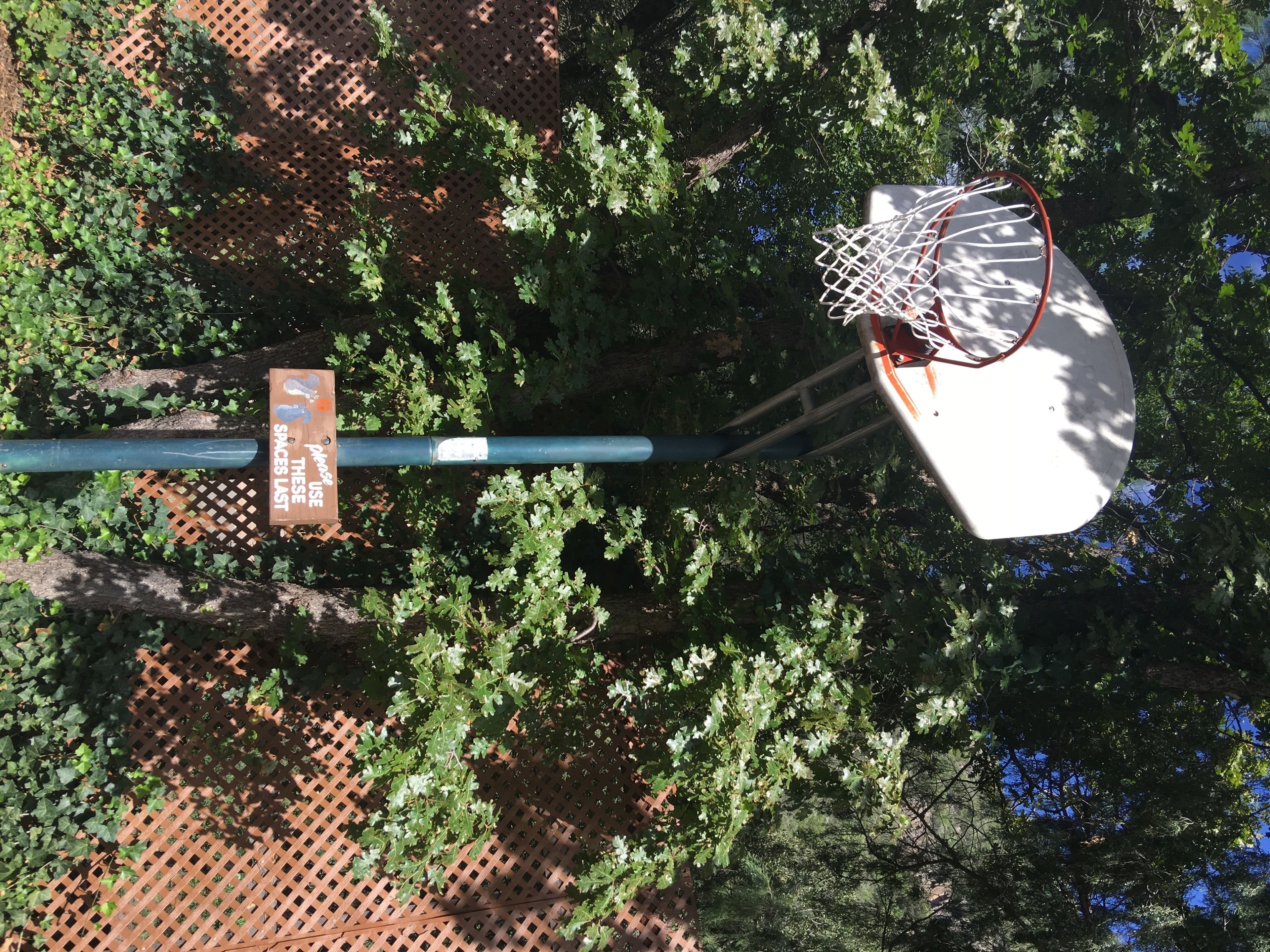 Junipine Resort