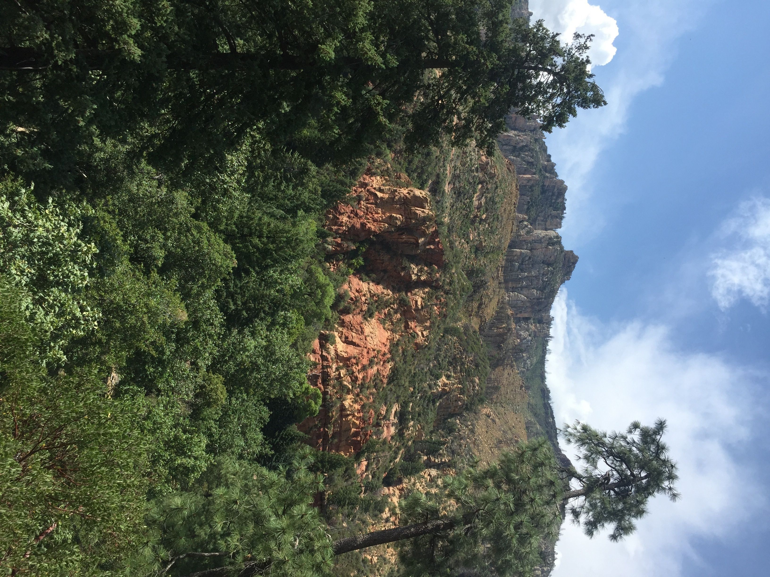 Junipine Resort
