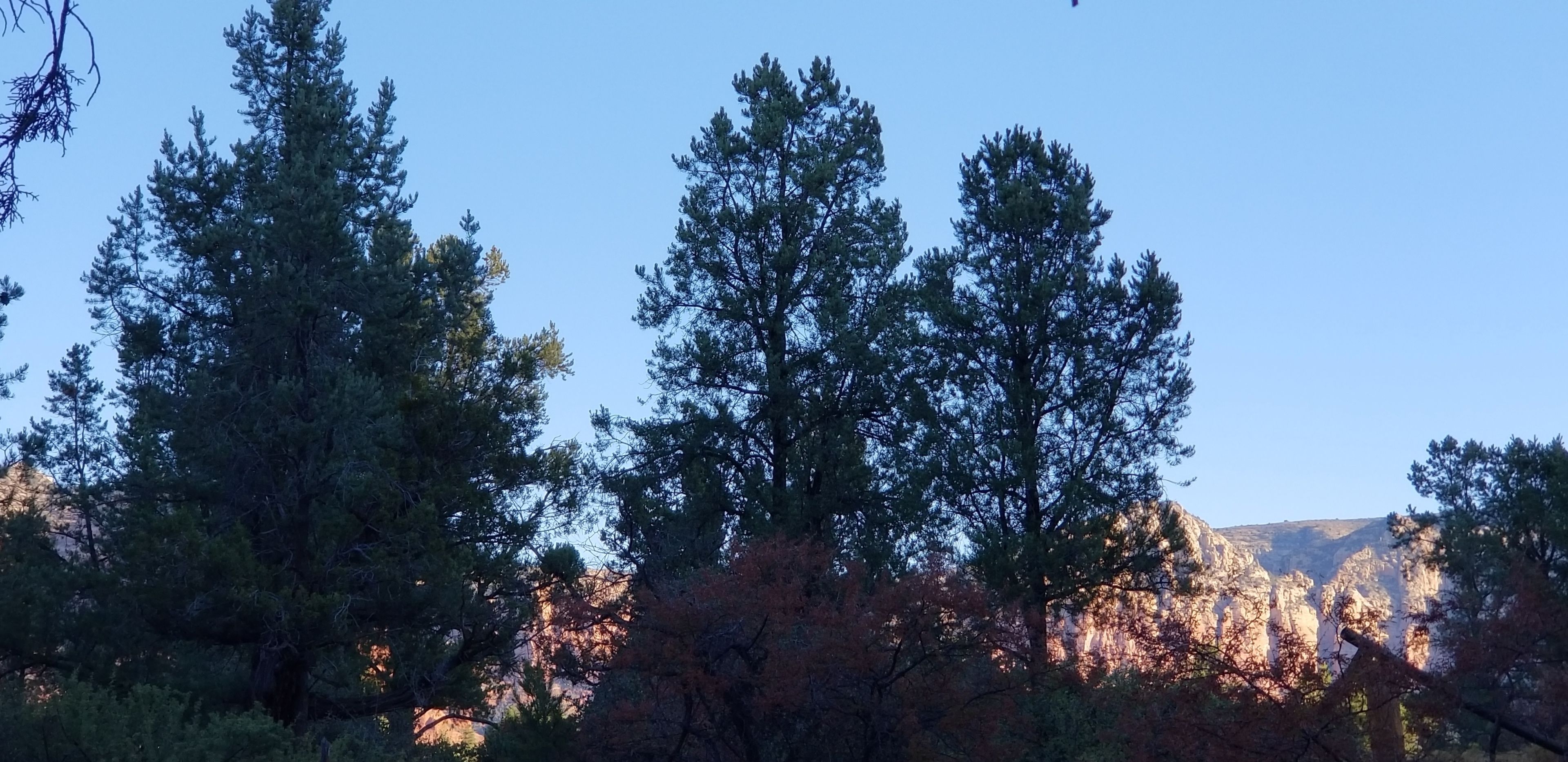 The Sedona Dream Maker Bed & Breakfast