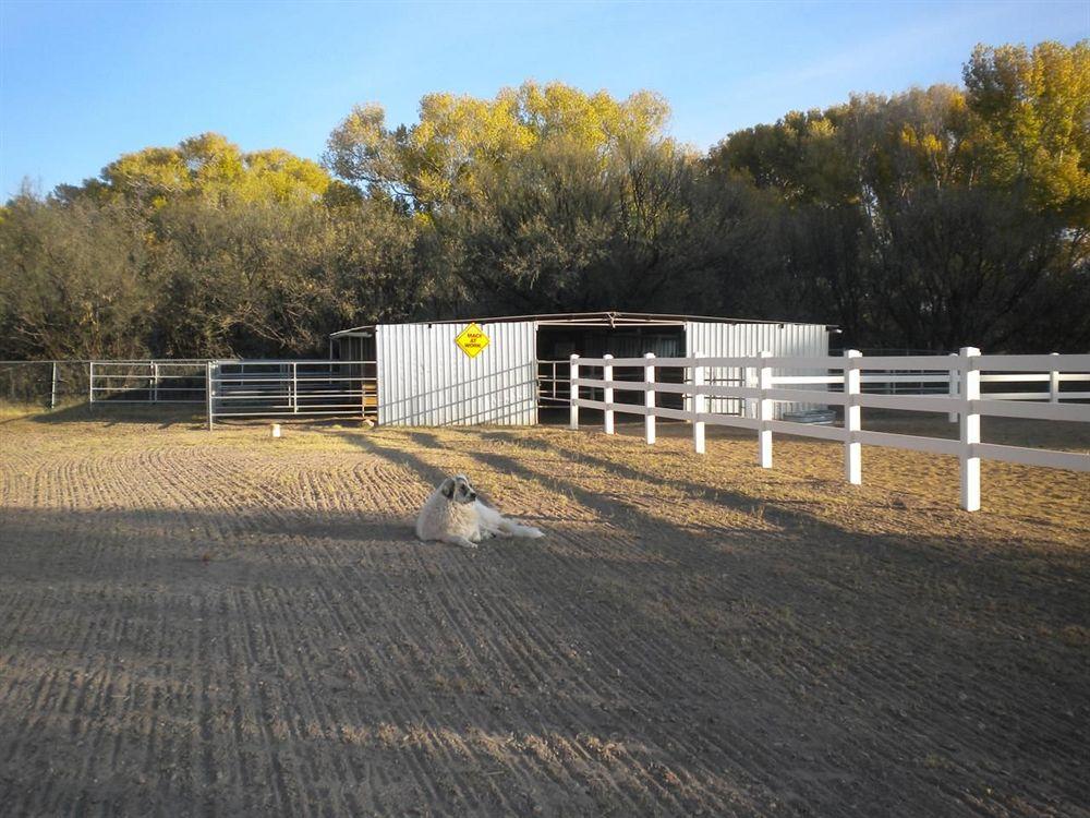 Lazy Dog Ranch