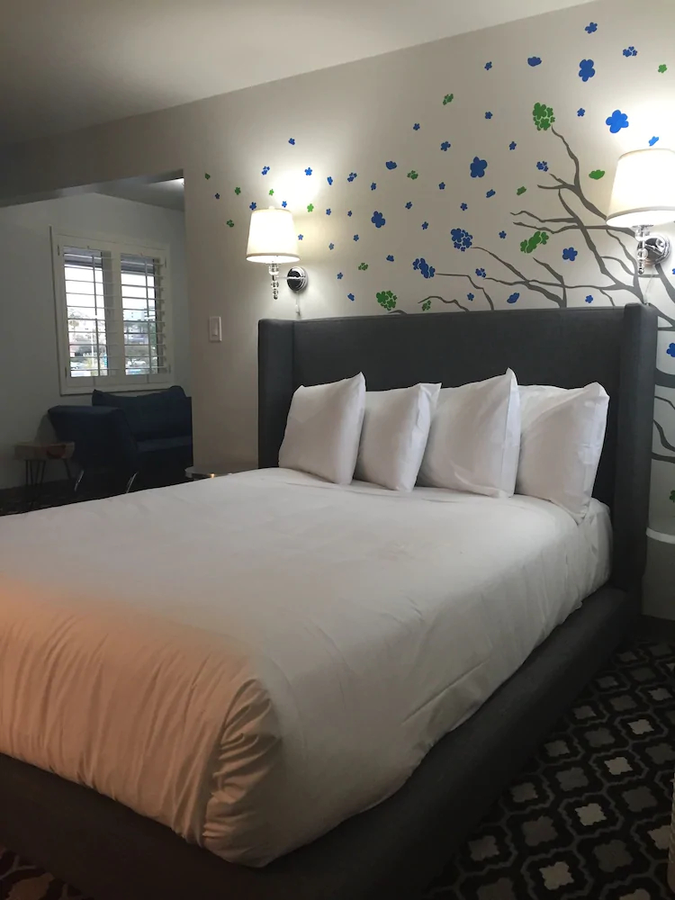 University Inn and Suites