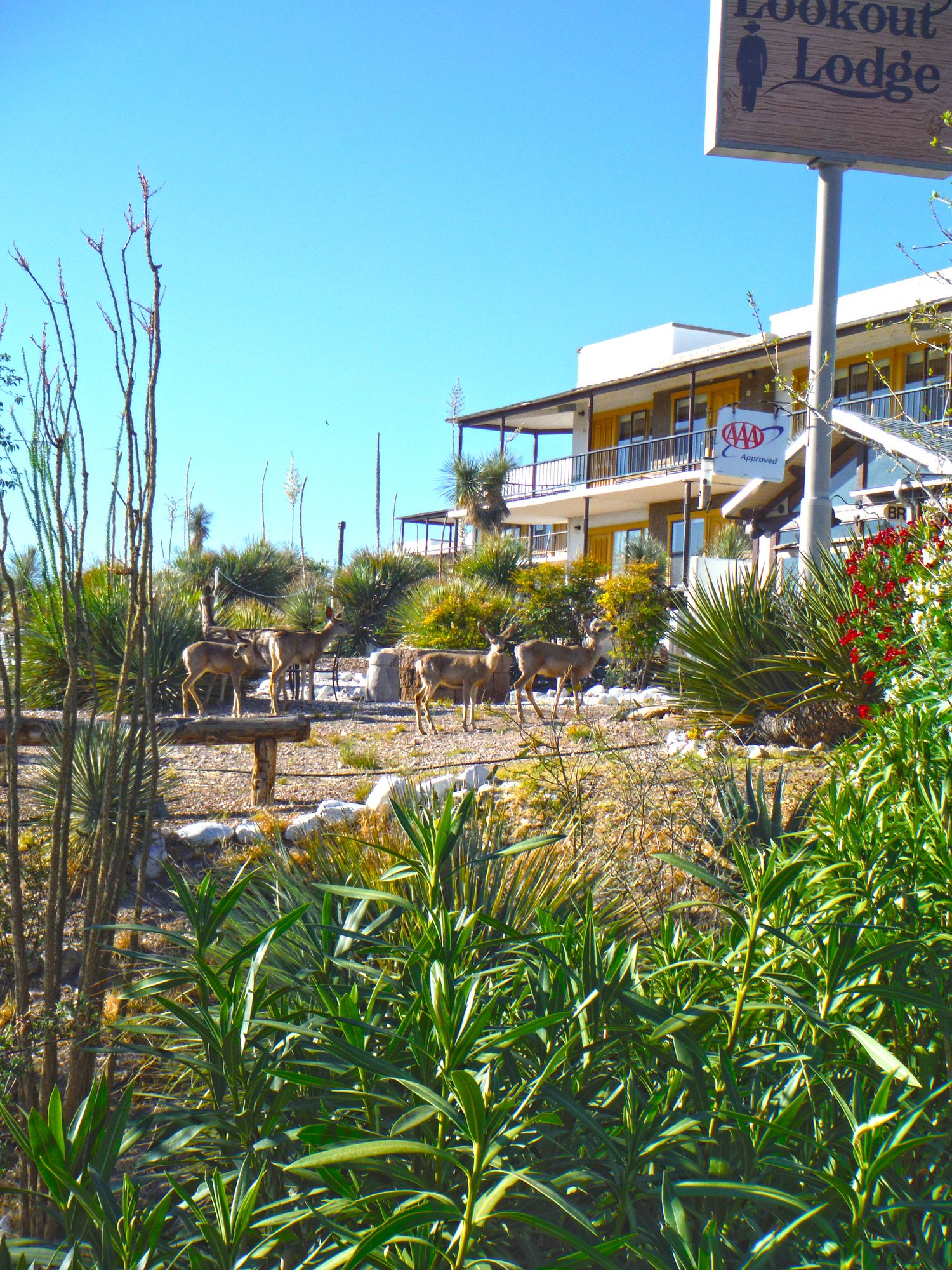 Landmark Lookout Lodge