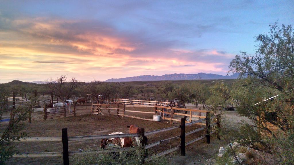 Tombstone Monument Ranch