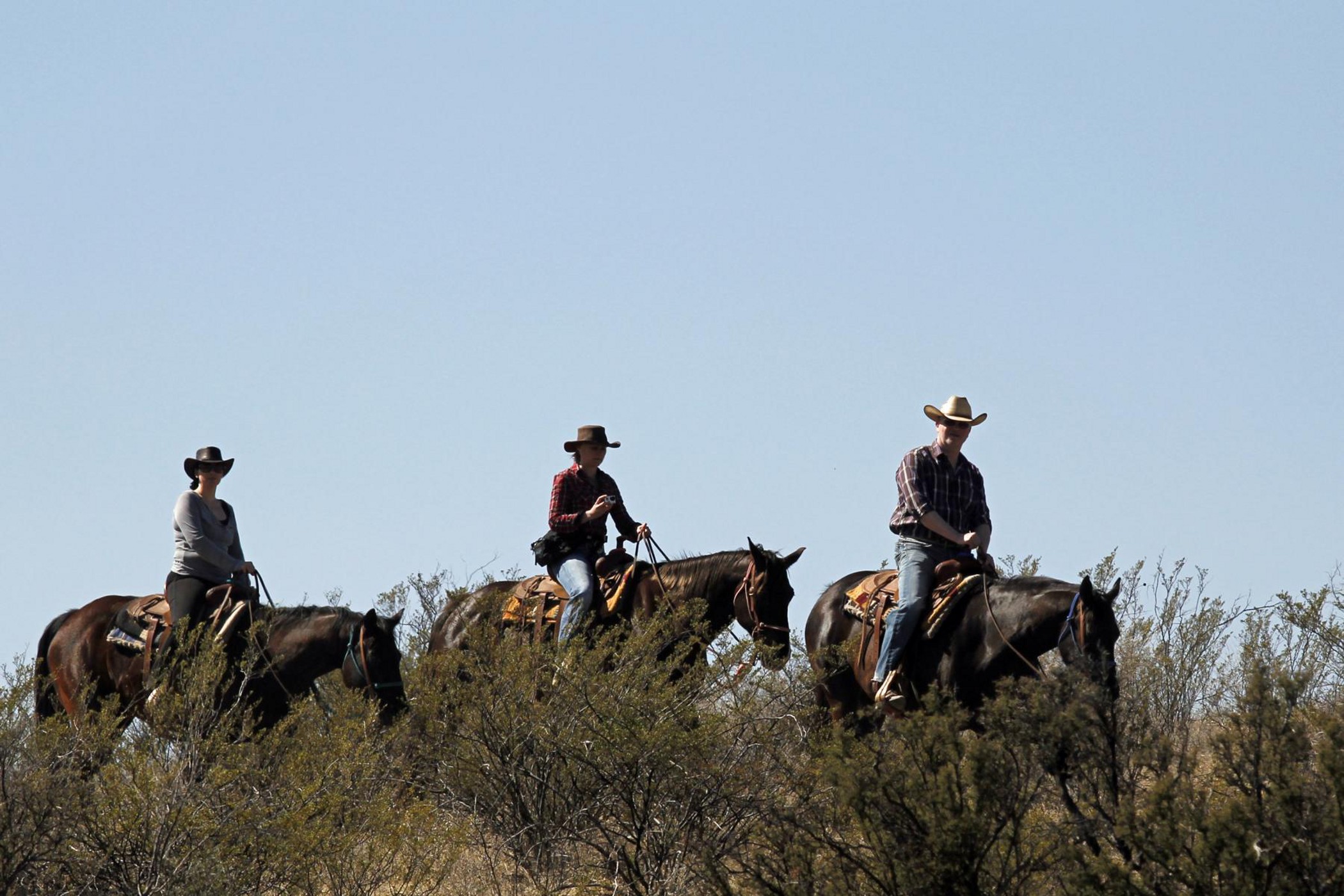 Tombstone Monument Ranch