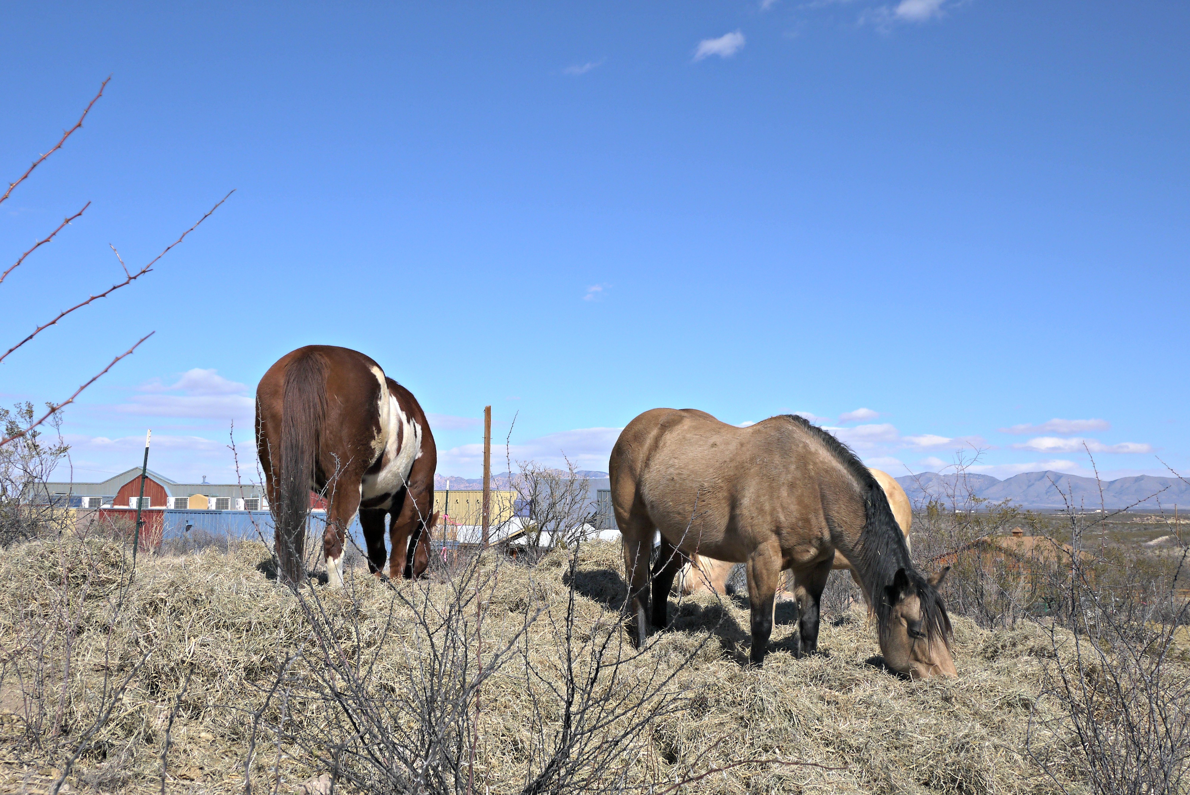 Tombstone Monument Ranch