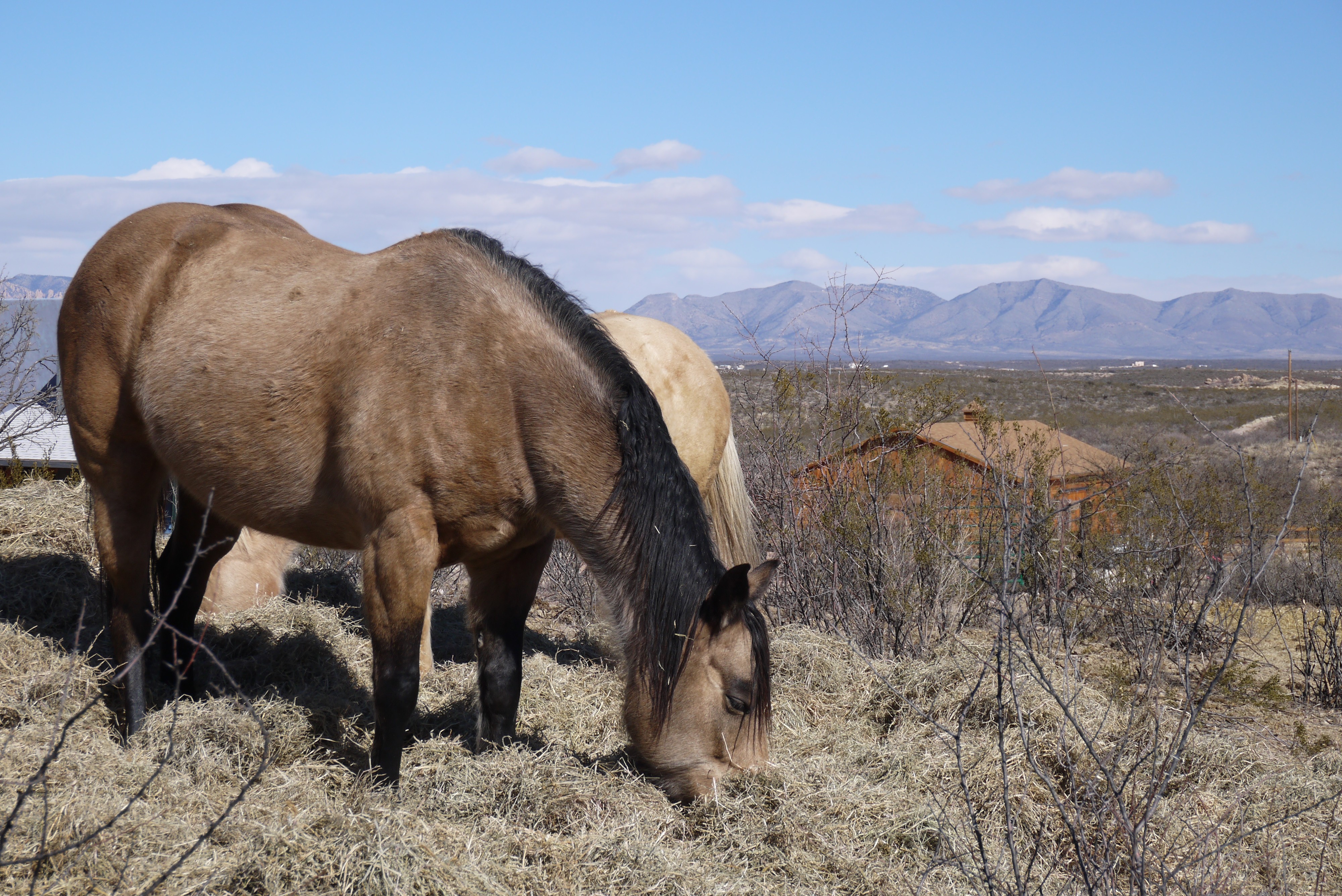 Tombstone Monument Ranch