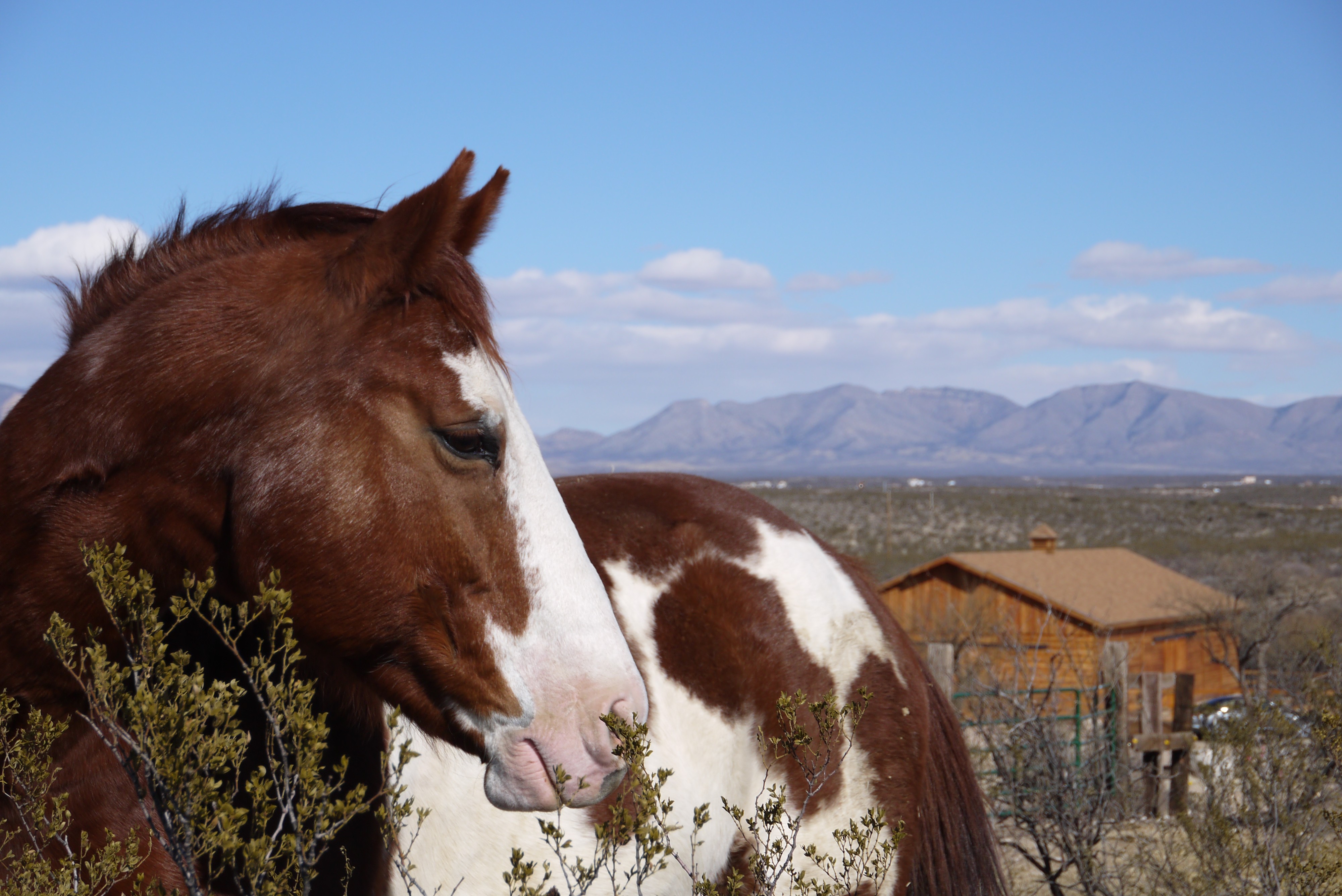 Tombstone Monument Ranch