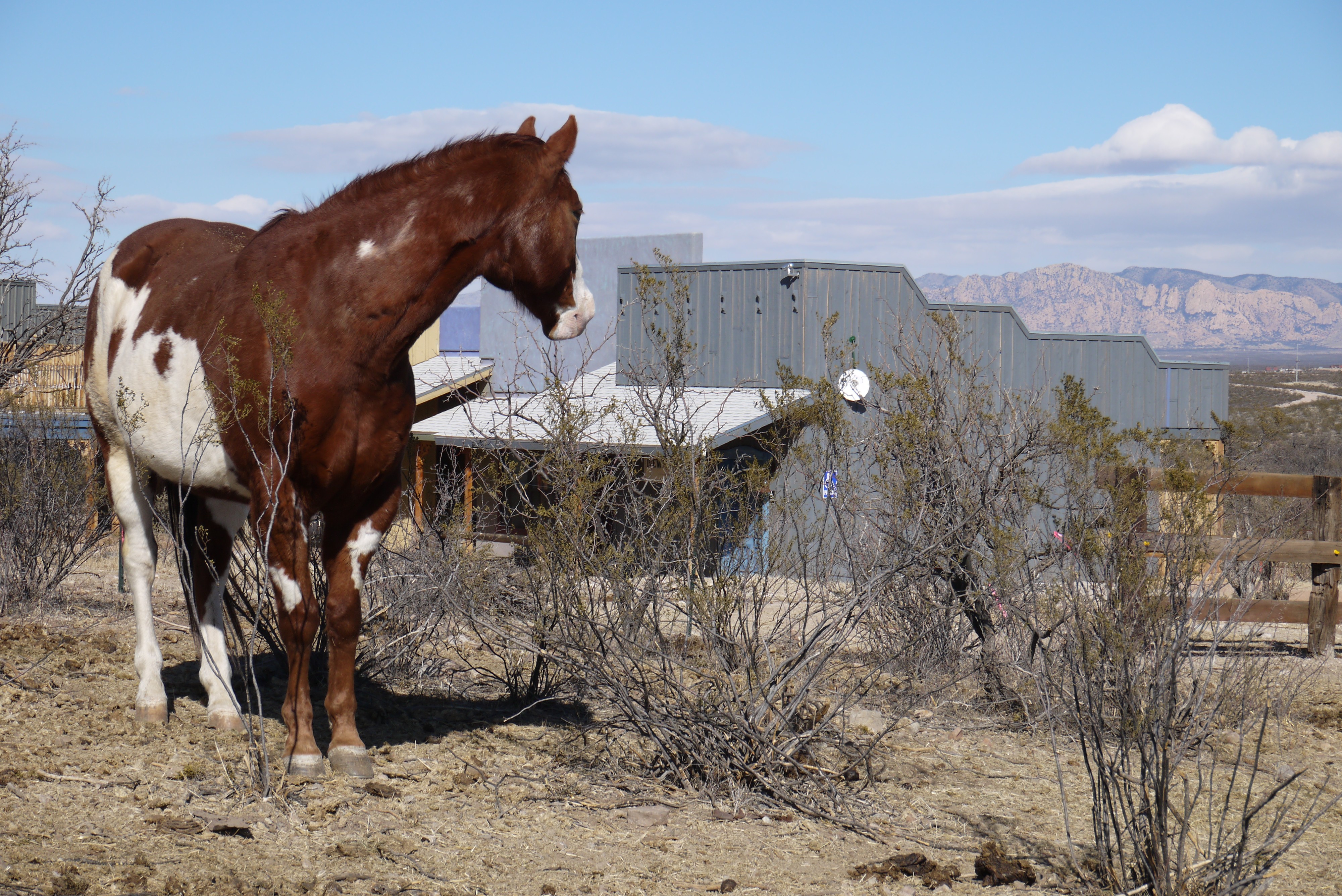 Tombstone Monument Ranch