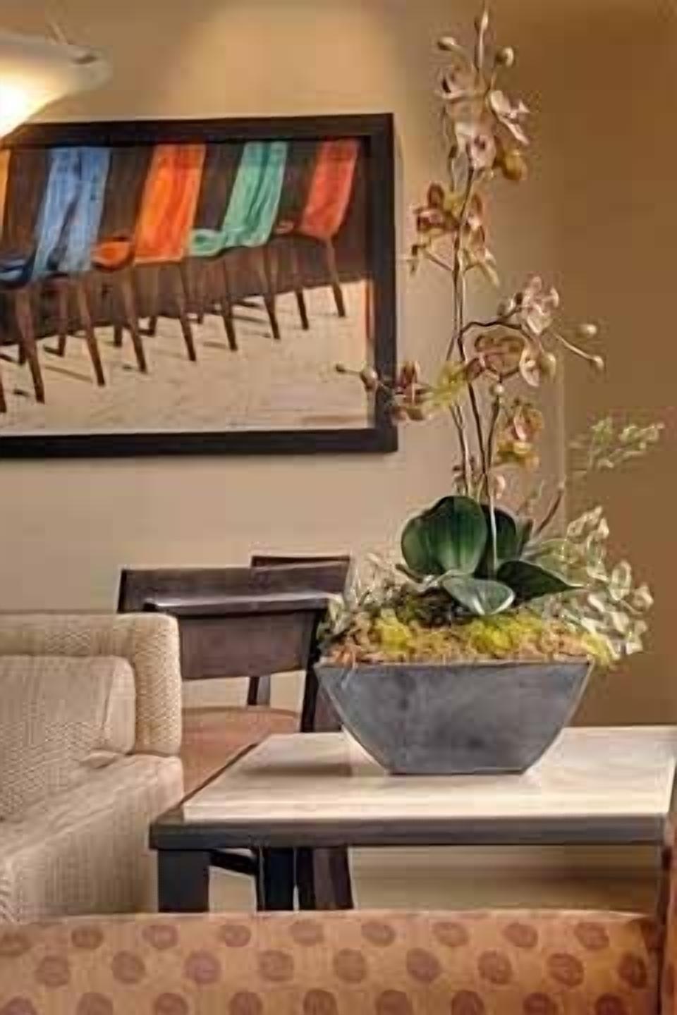 Casitas at Sabino Springs