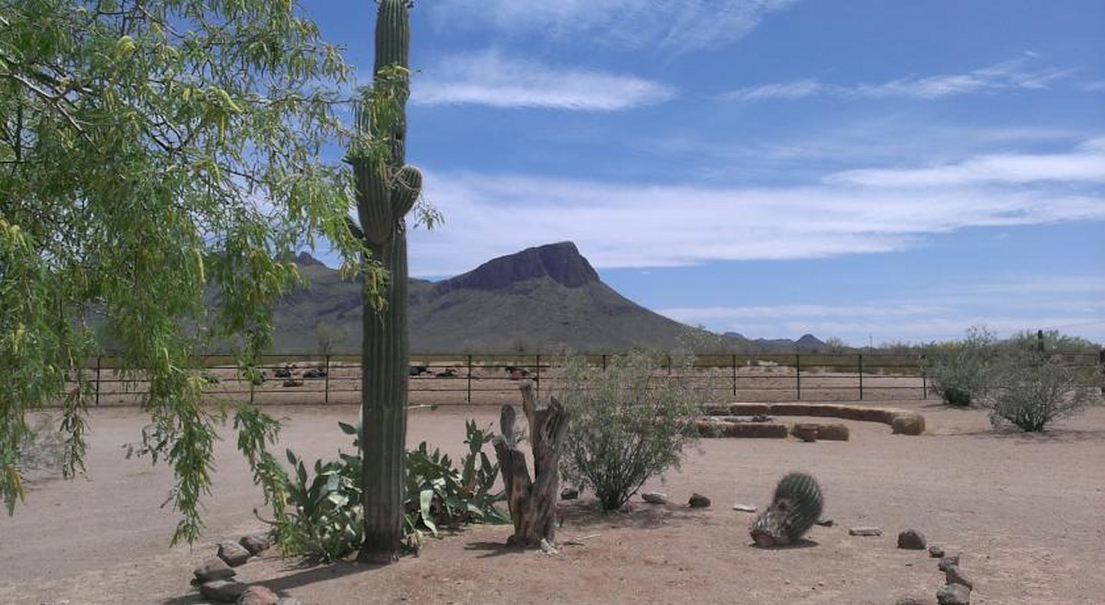 White Stallion Ranch