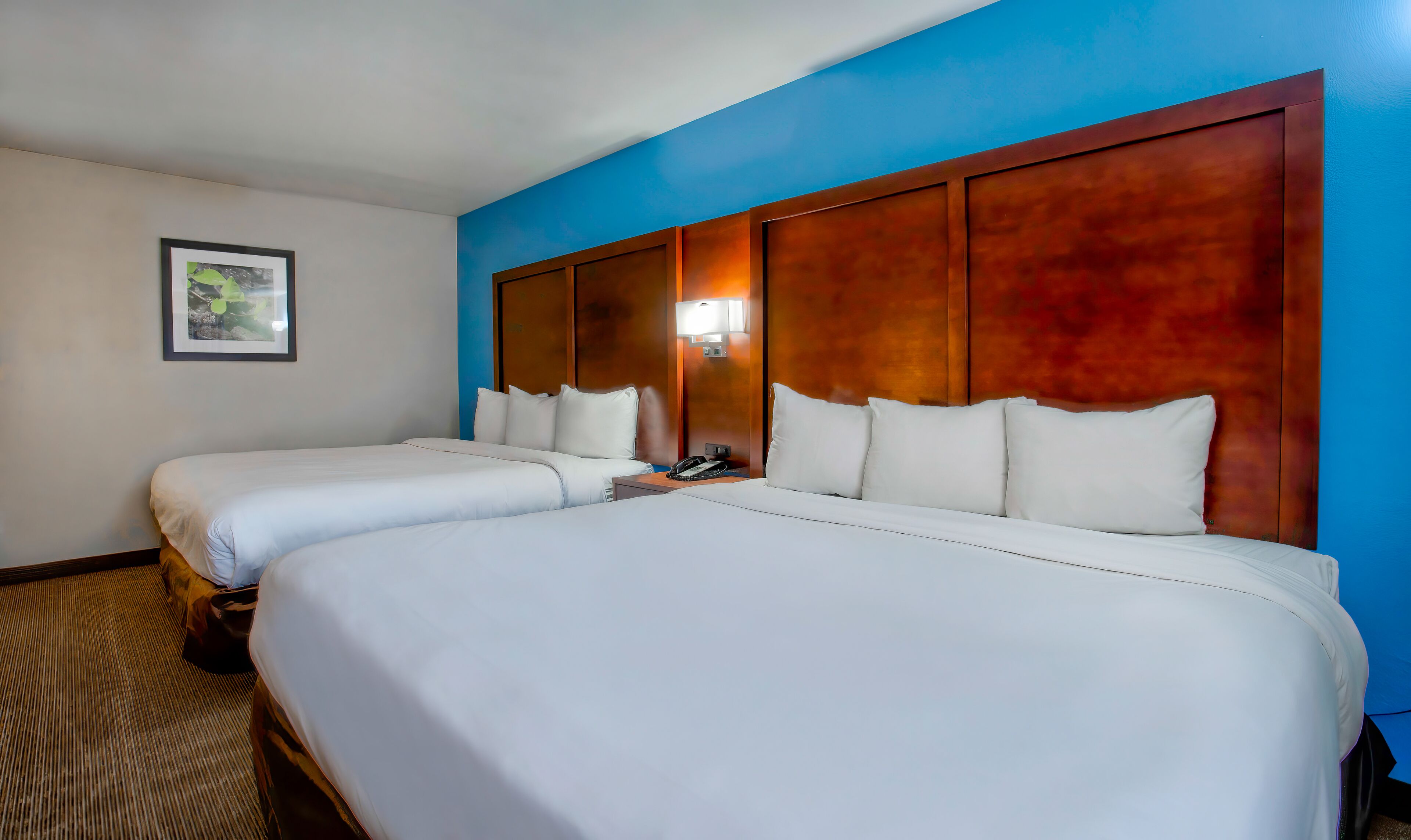 Studio 6 Suites Willcox