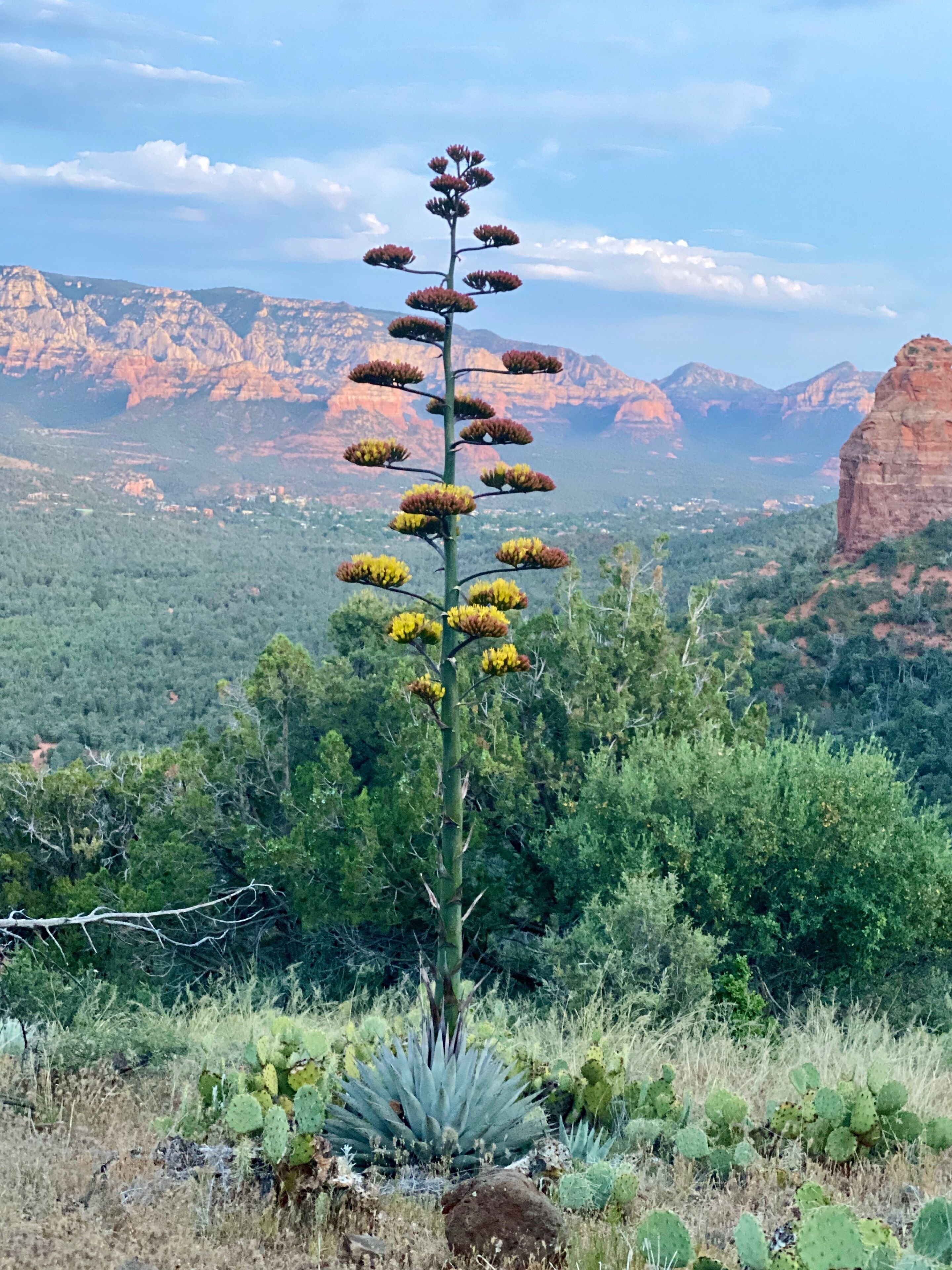 The Grand Canyon Headquarters