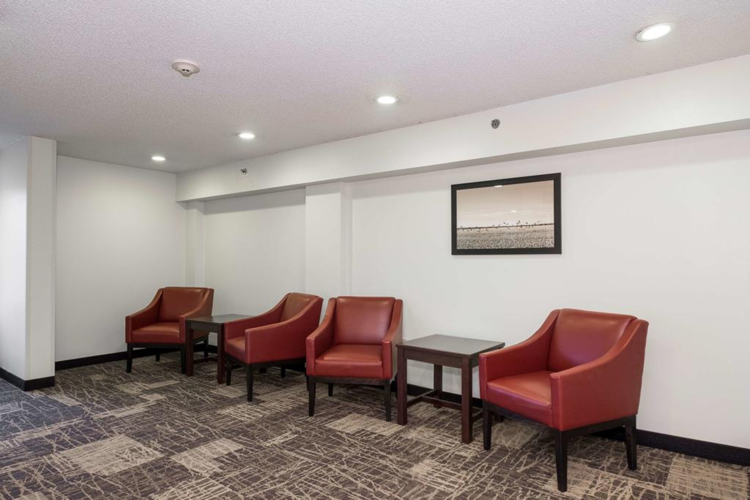 Spark by Hilton Bentonville