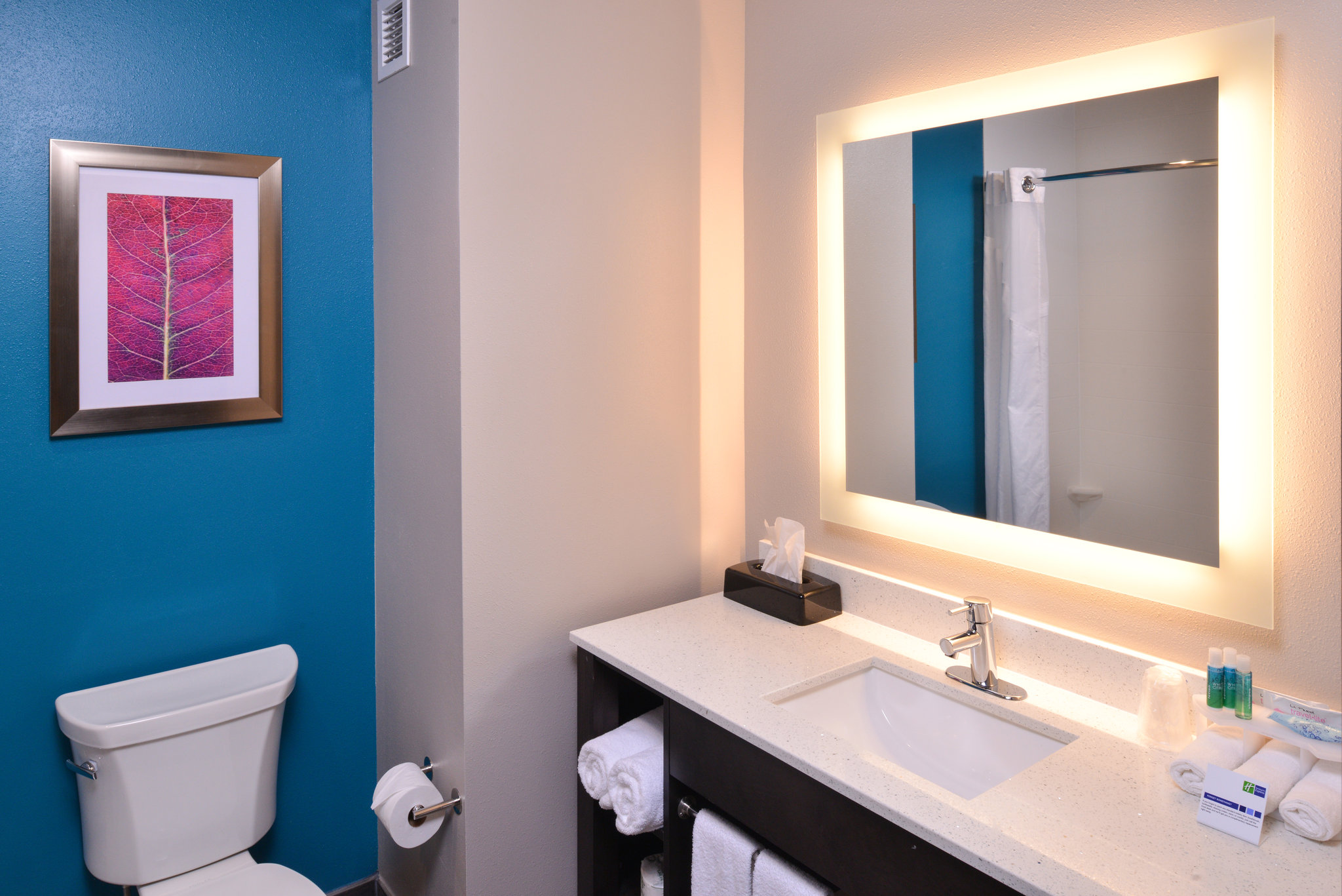 Holiday Inn Express & Suites Bryant - Benton Area