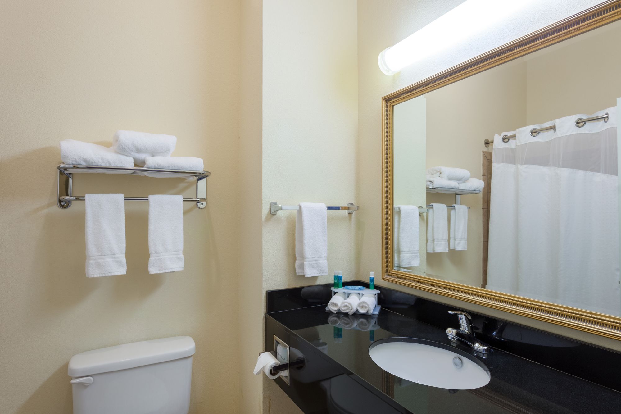 Holiday Inn Express & Suites Clarksville