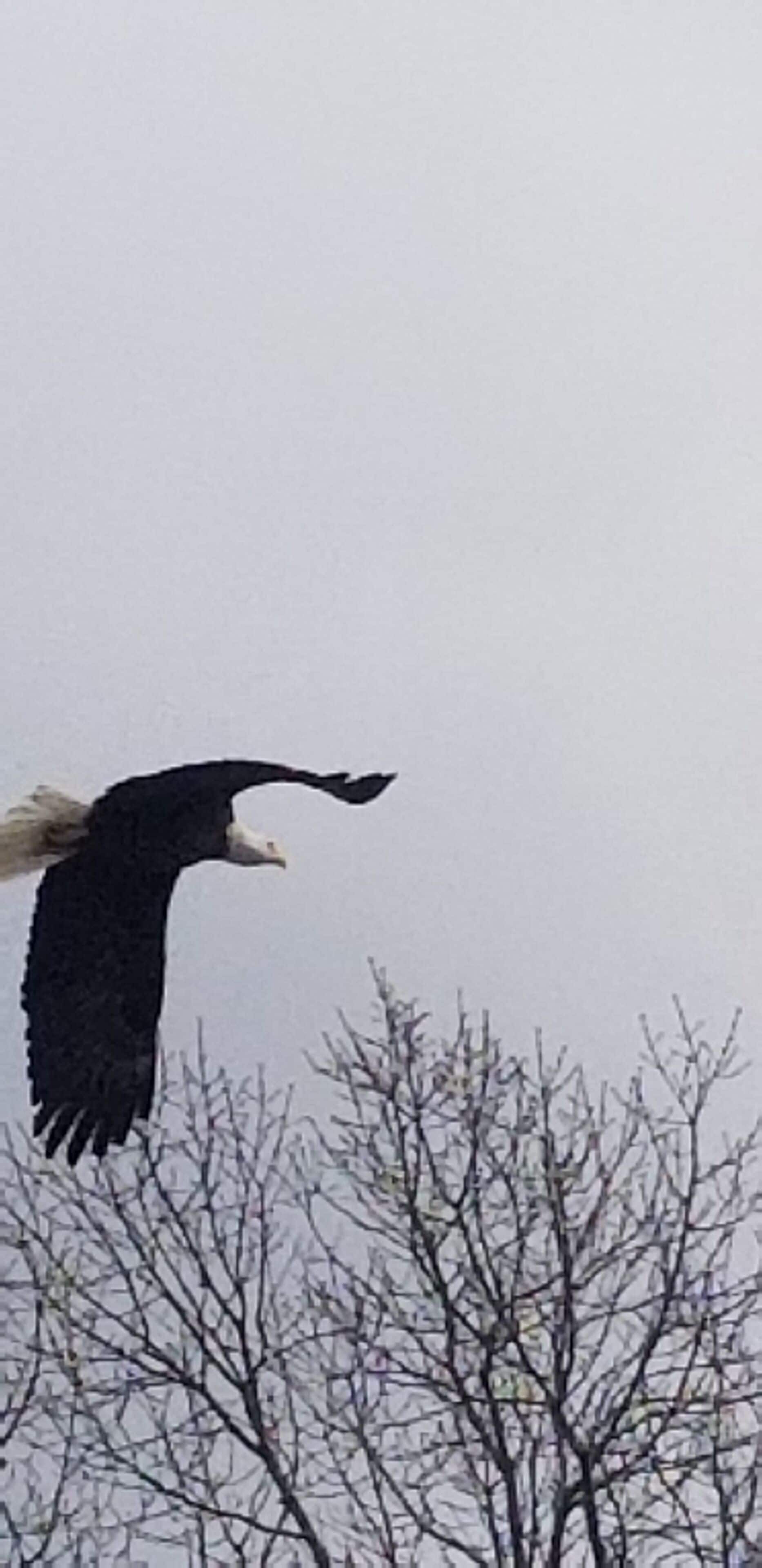 Pointe West Resort & Suites