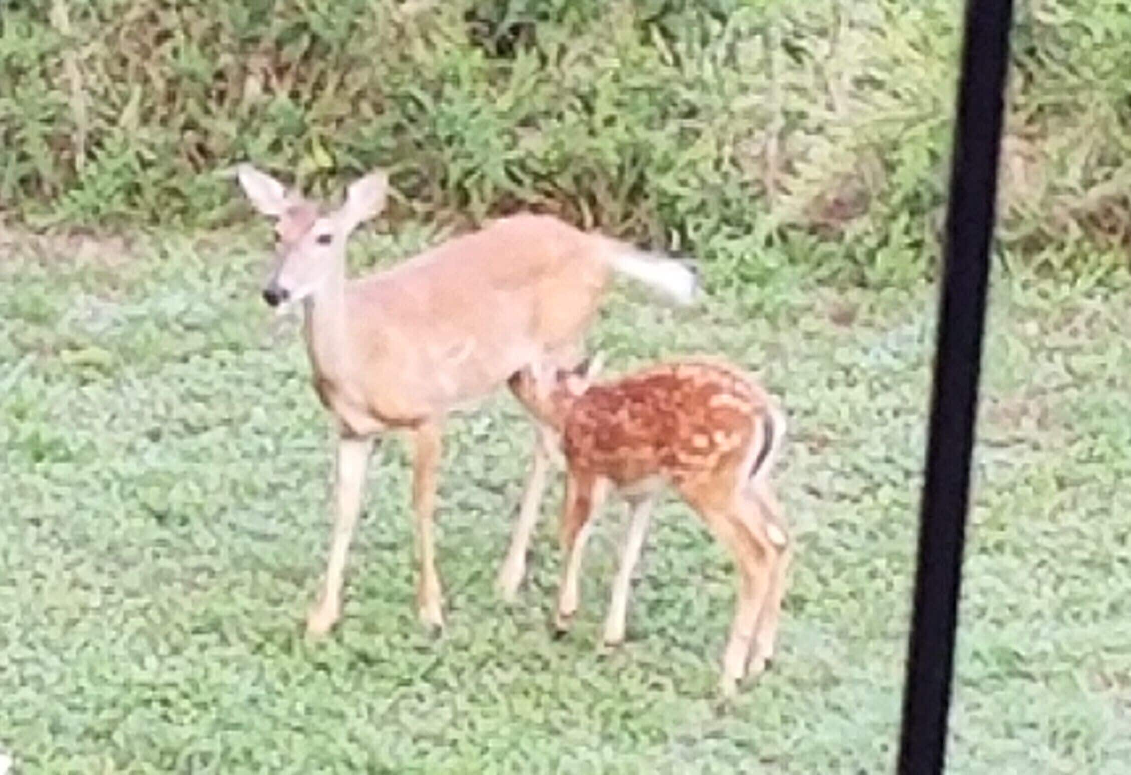 Pointe West Resort & Suites