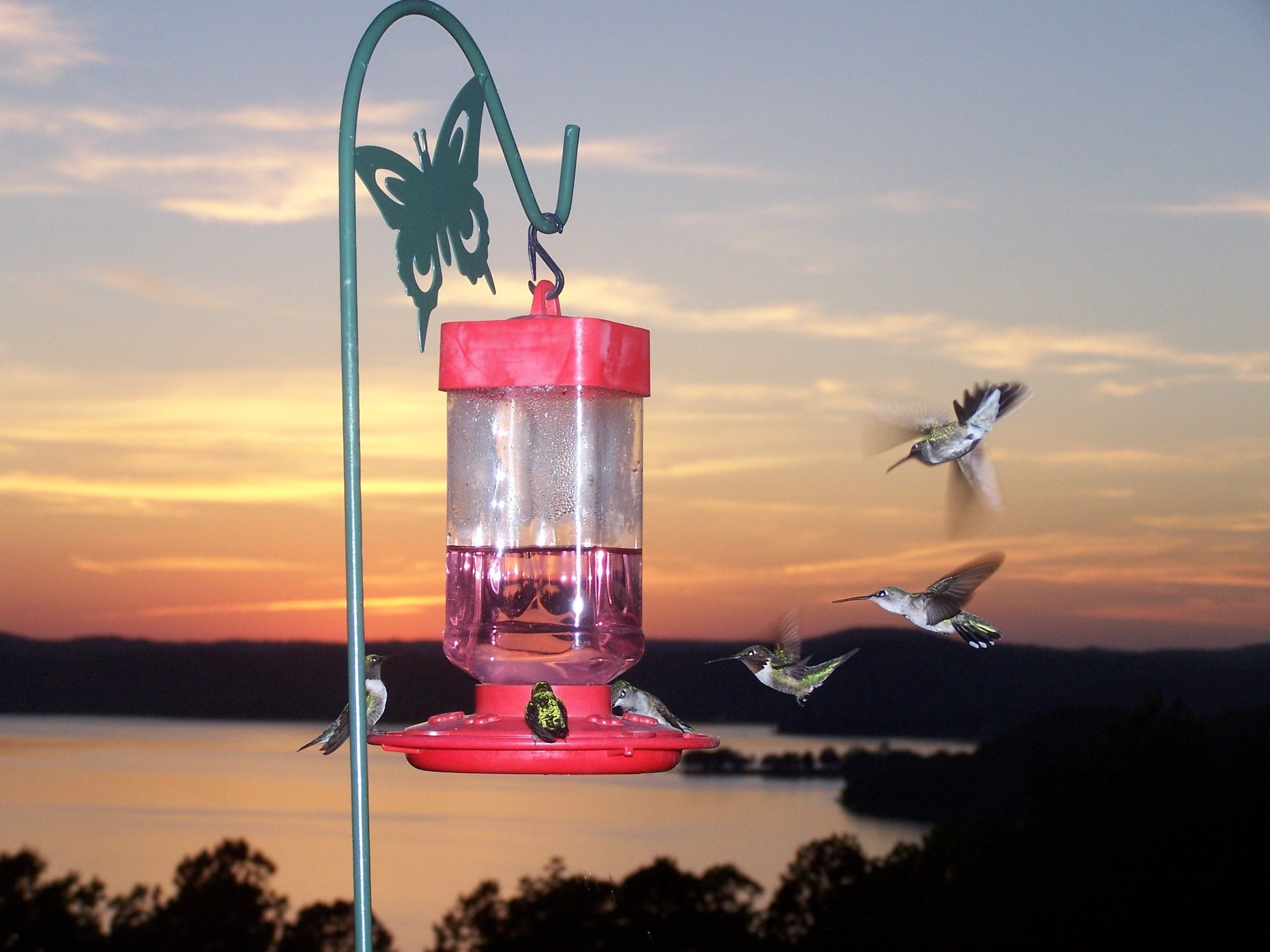 Pointe West Resort & Suites