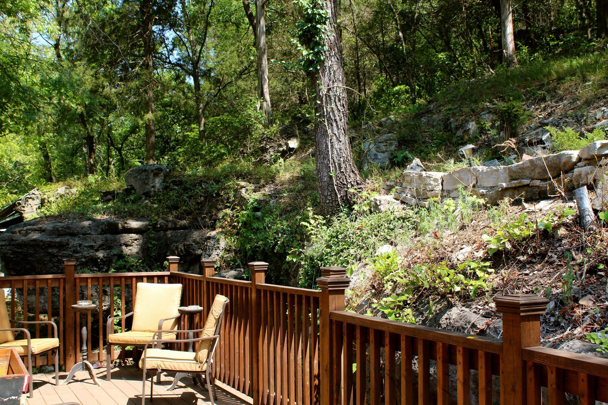 Treehouse Village
