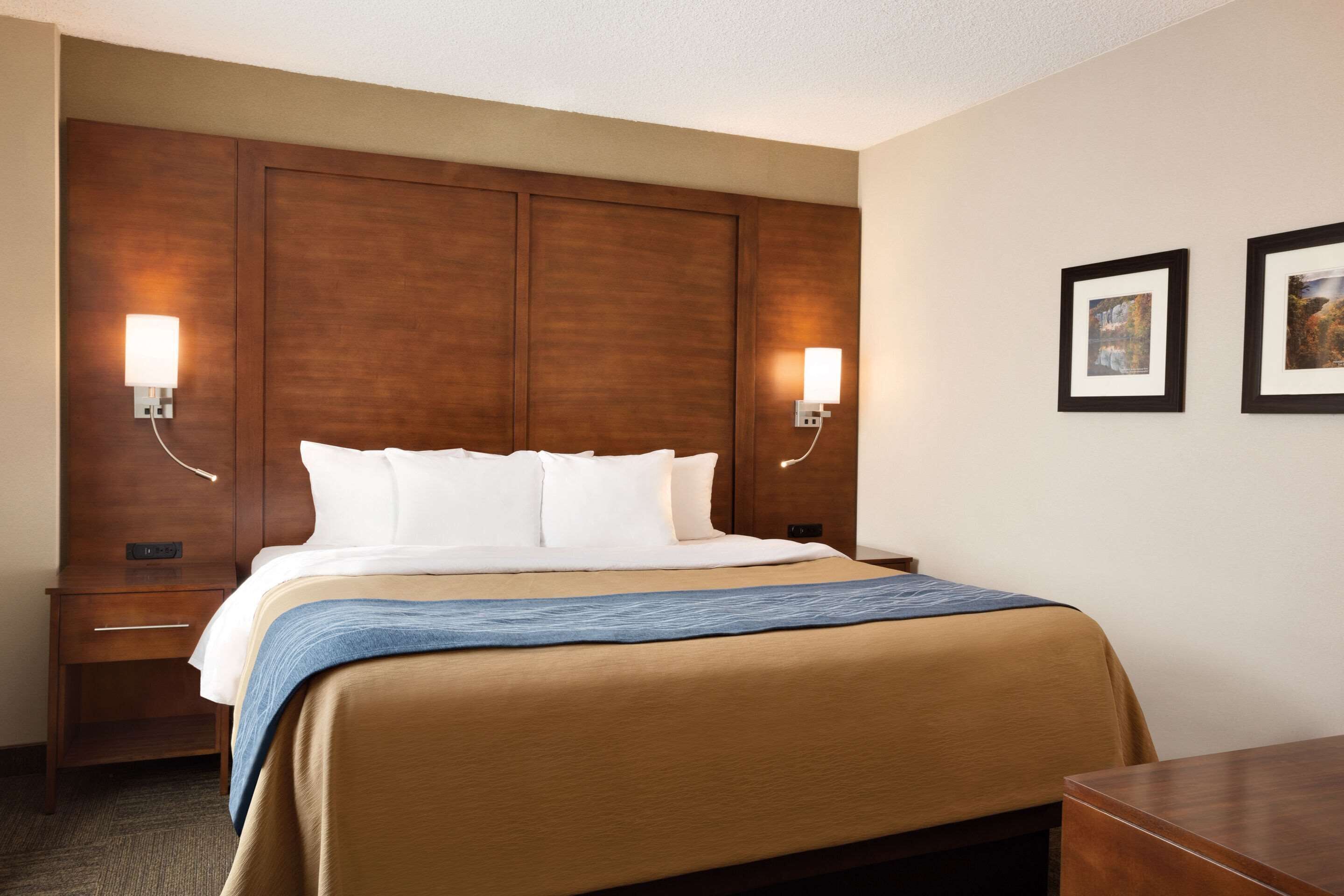Comfort Inn & Suites Presidential
