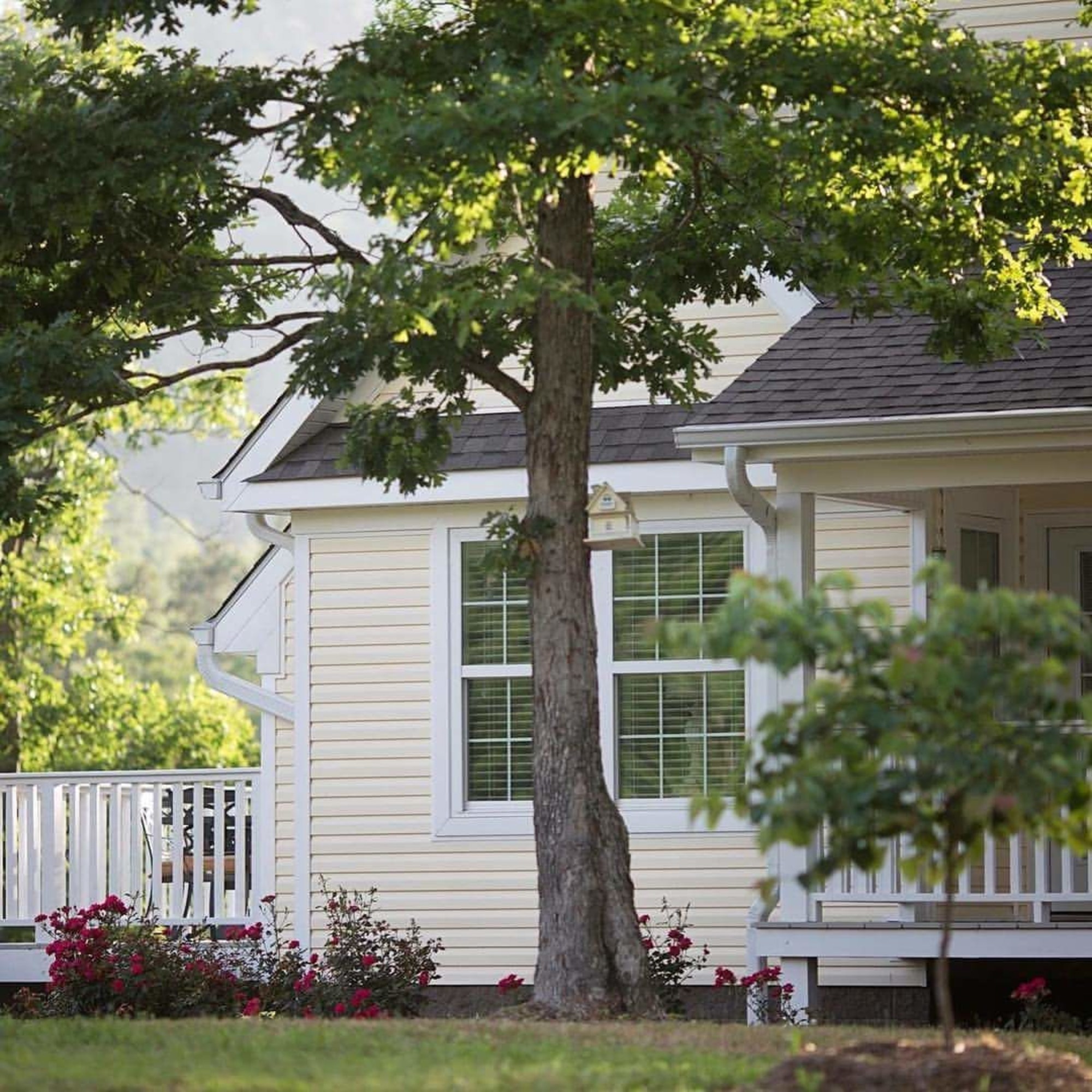 Stonehill Cottages
