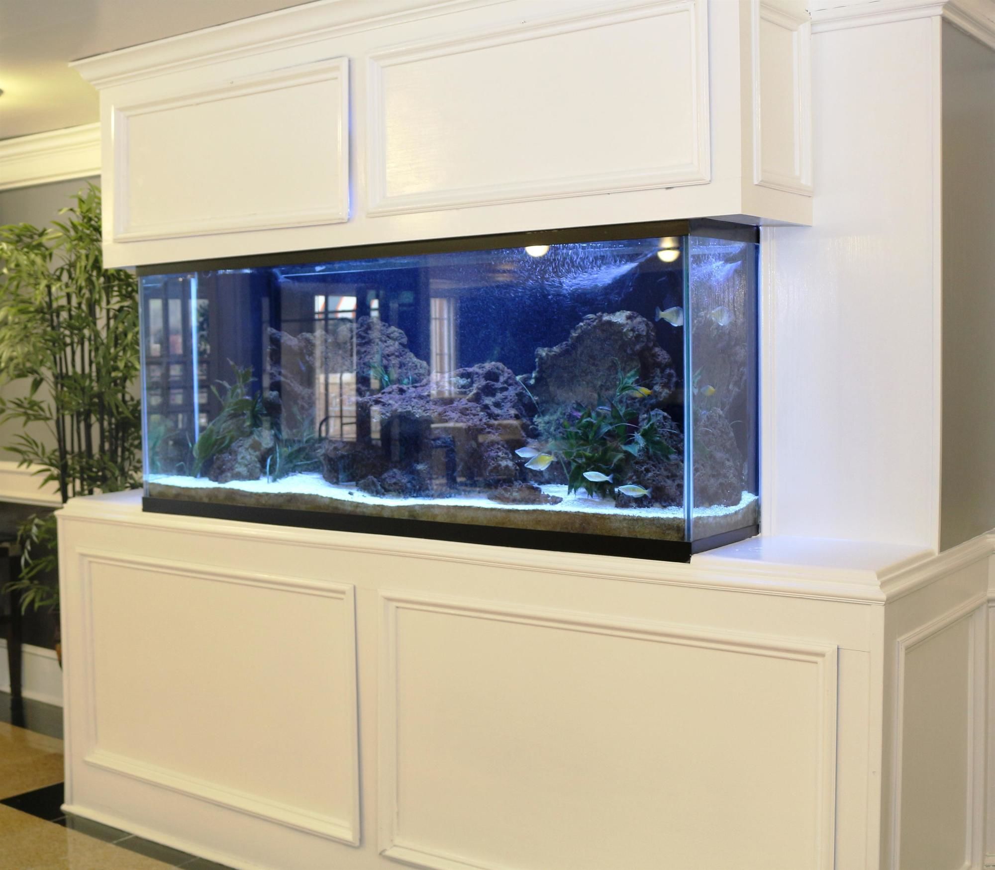 Country Inn & Suites by Radisson, North Little Rock, AR