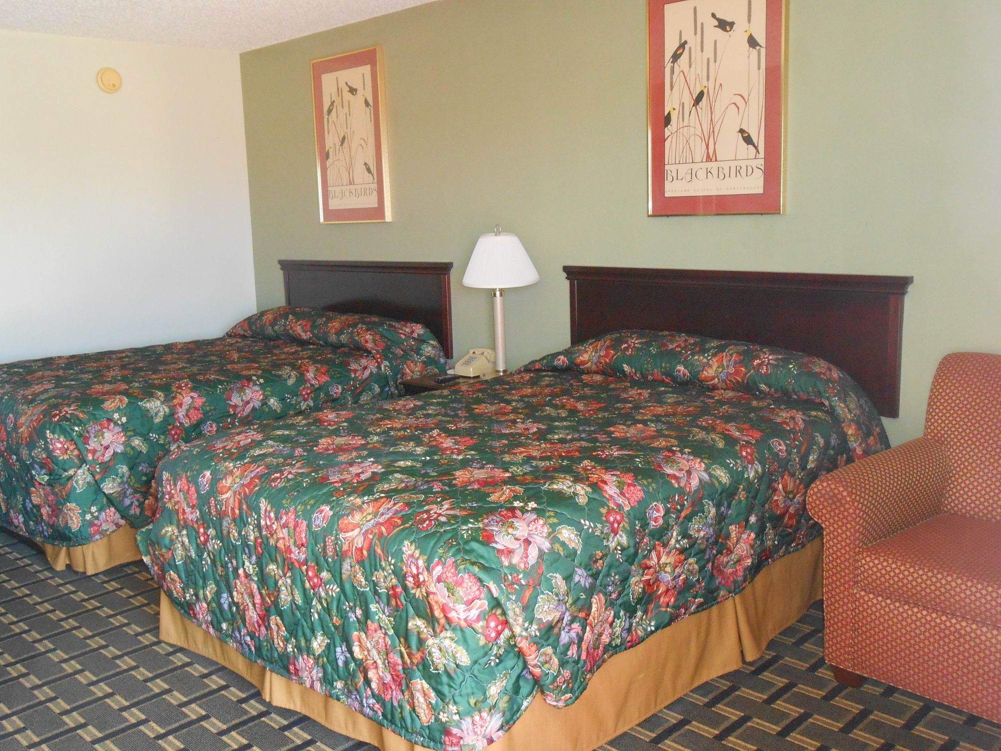 Budget Inn Siloam Springs