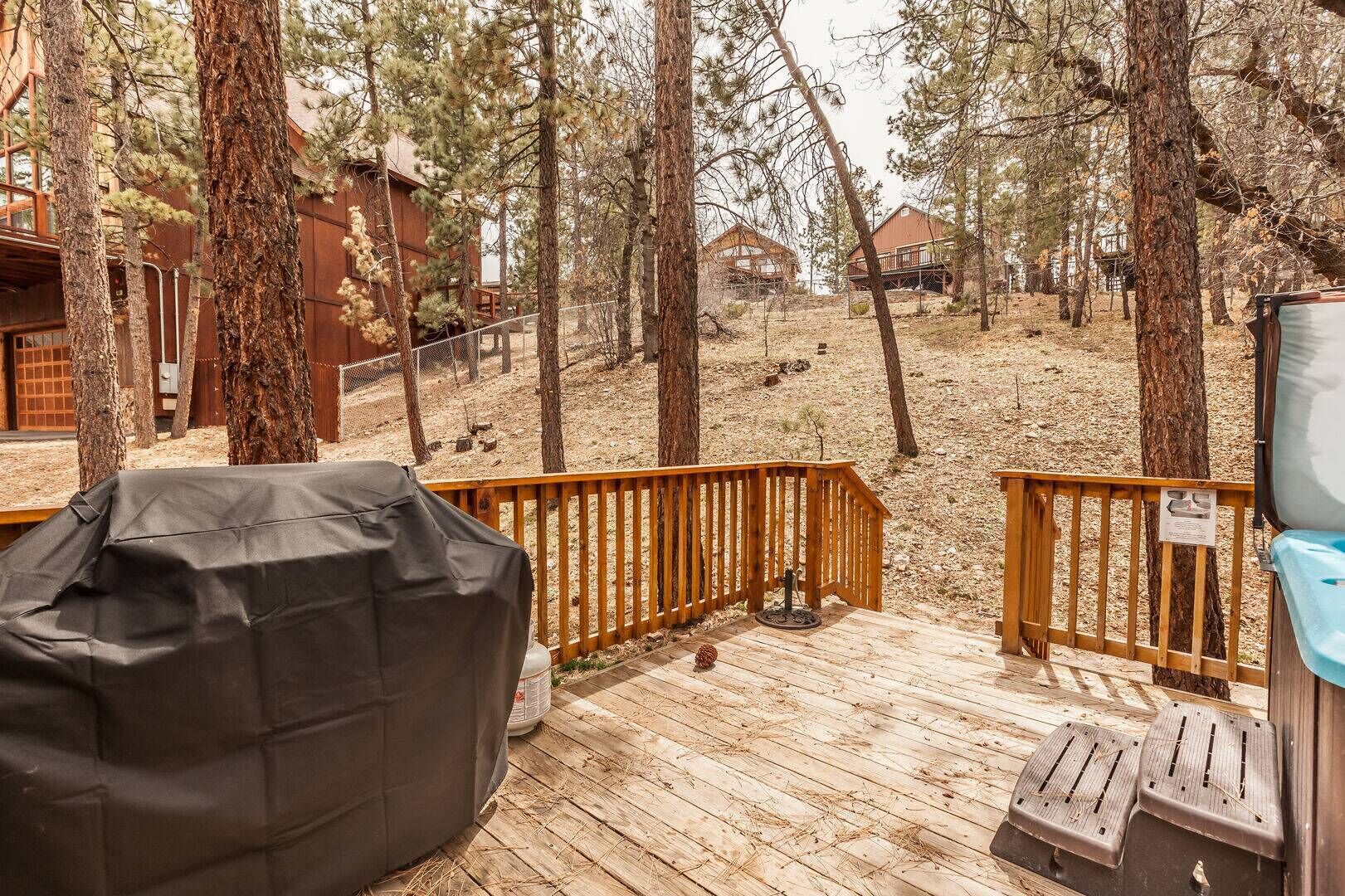 Bear Claw Cabin