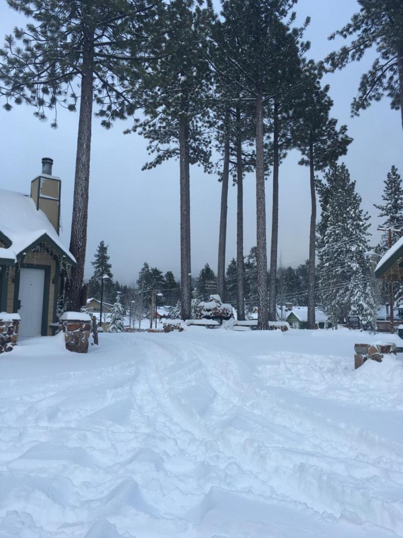 Bear Creek Resort