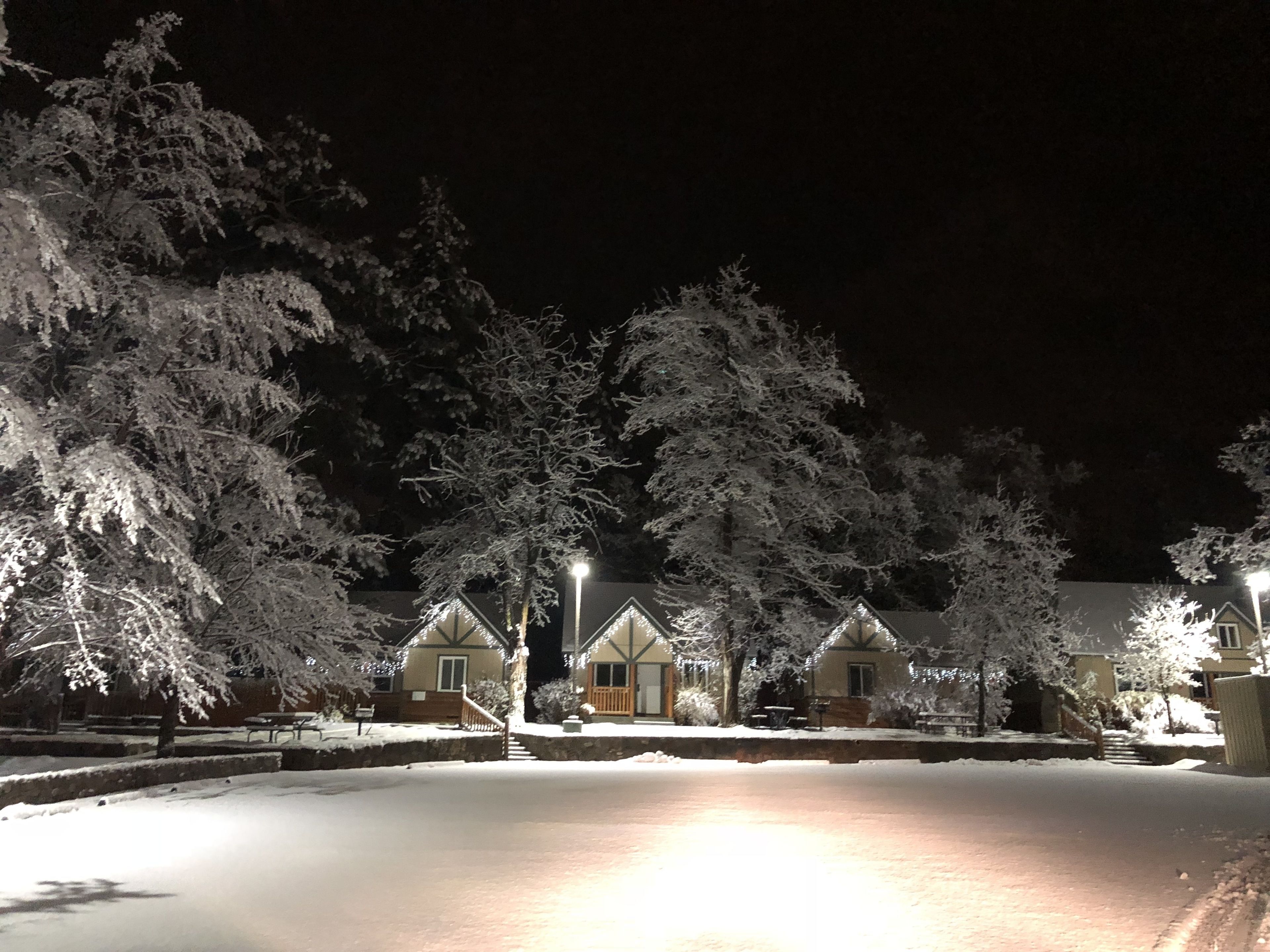 Bear Creek Resort