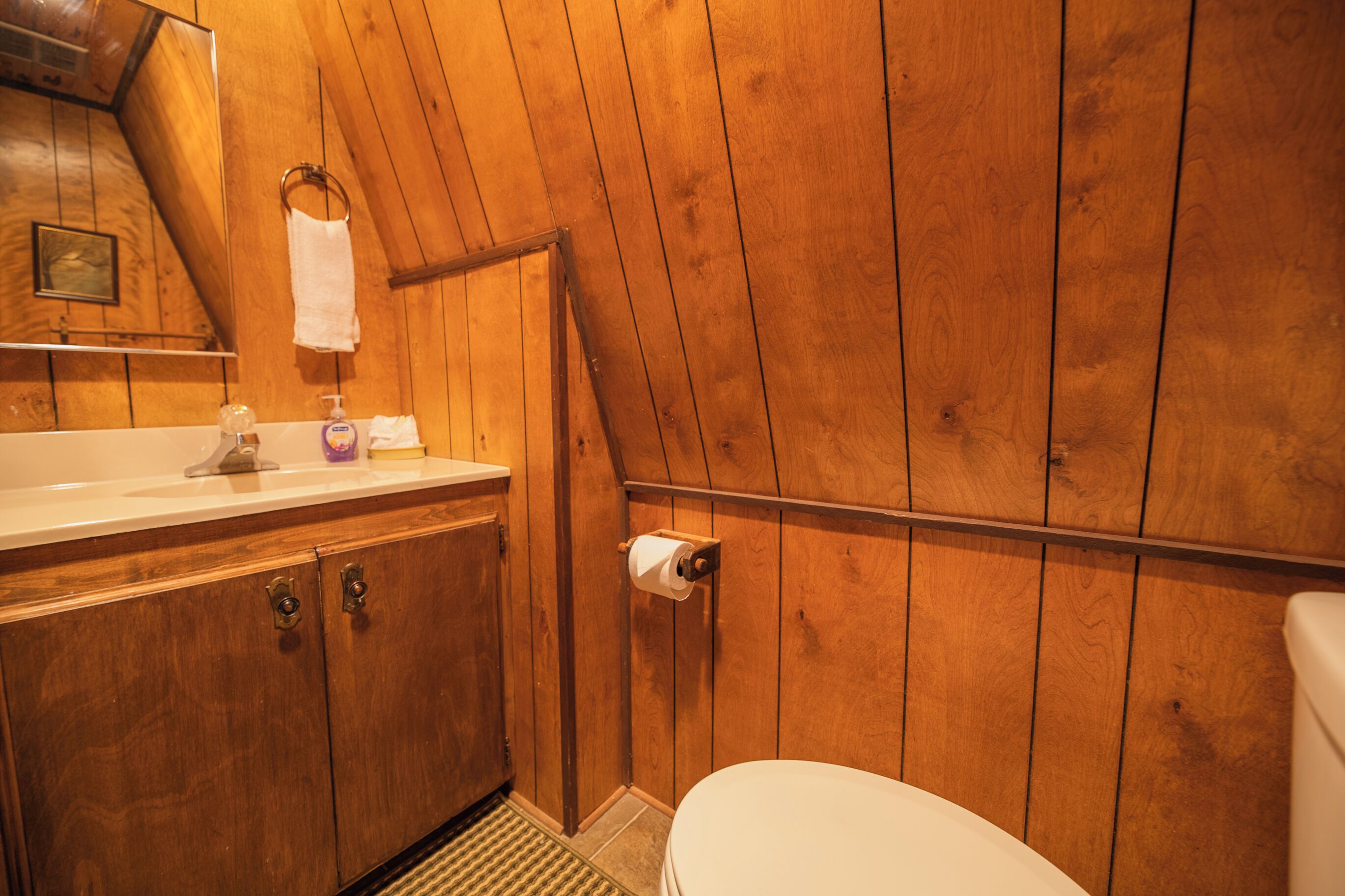Bearfoot Cabin