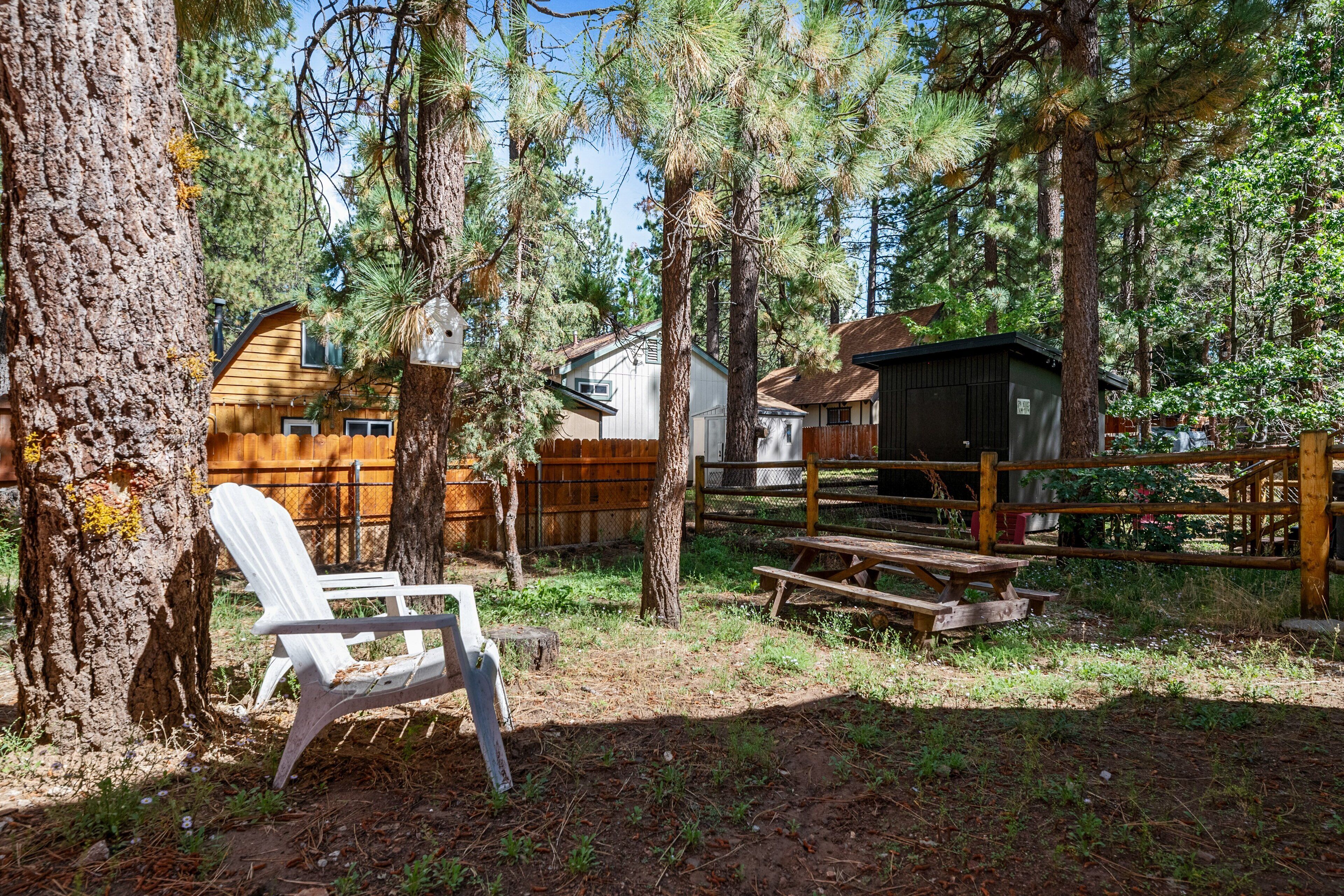 Bearfoot Cabin