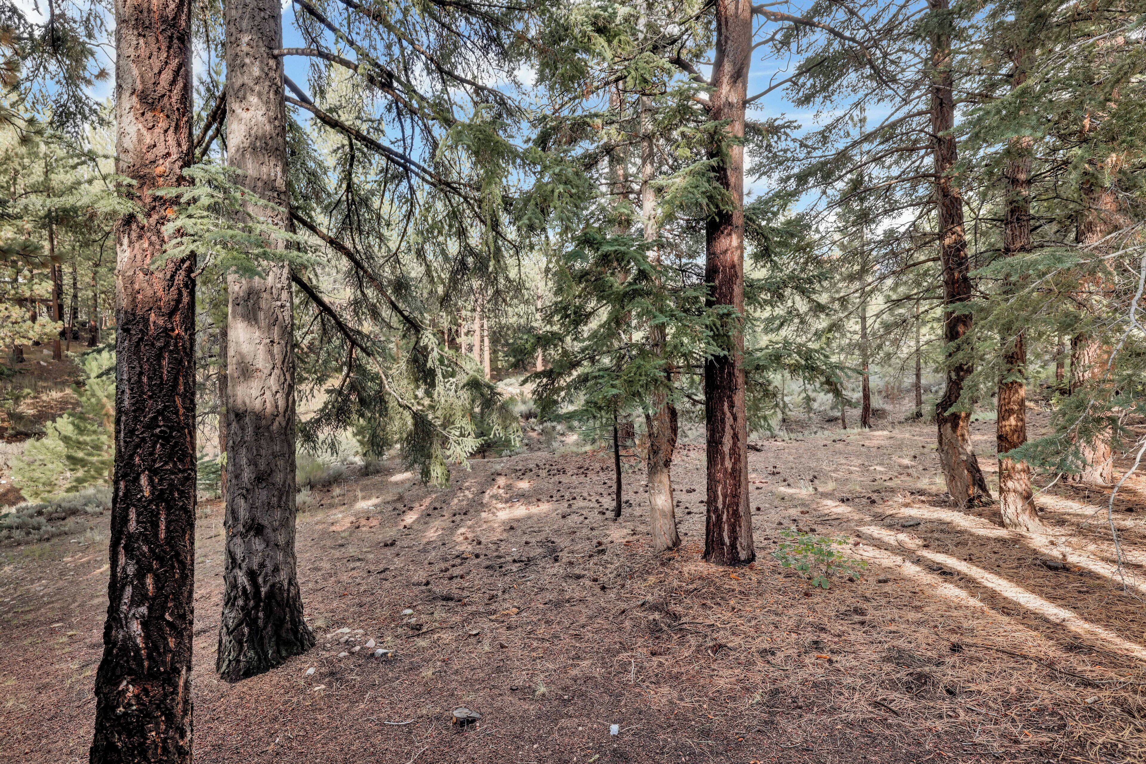 Colbert Cabin by Big Bear Vacations