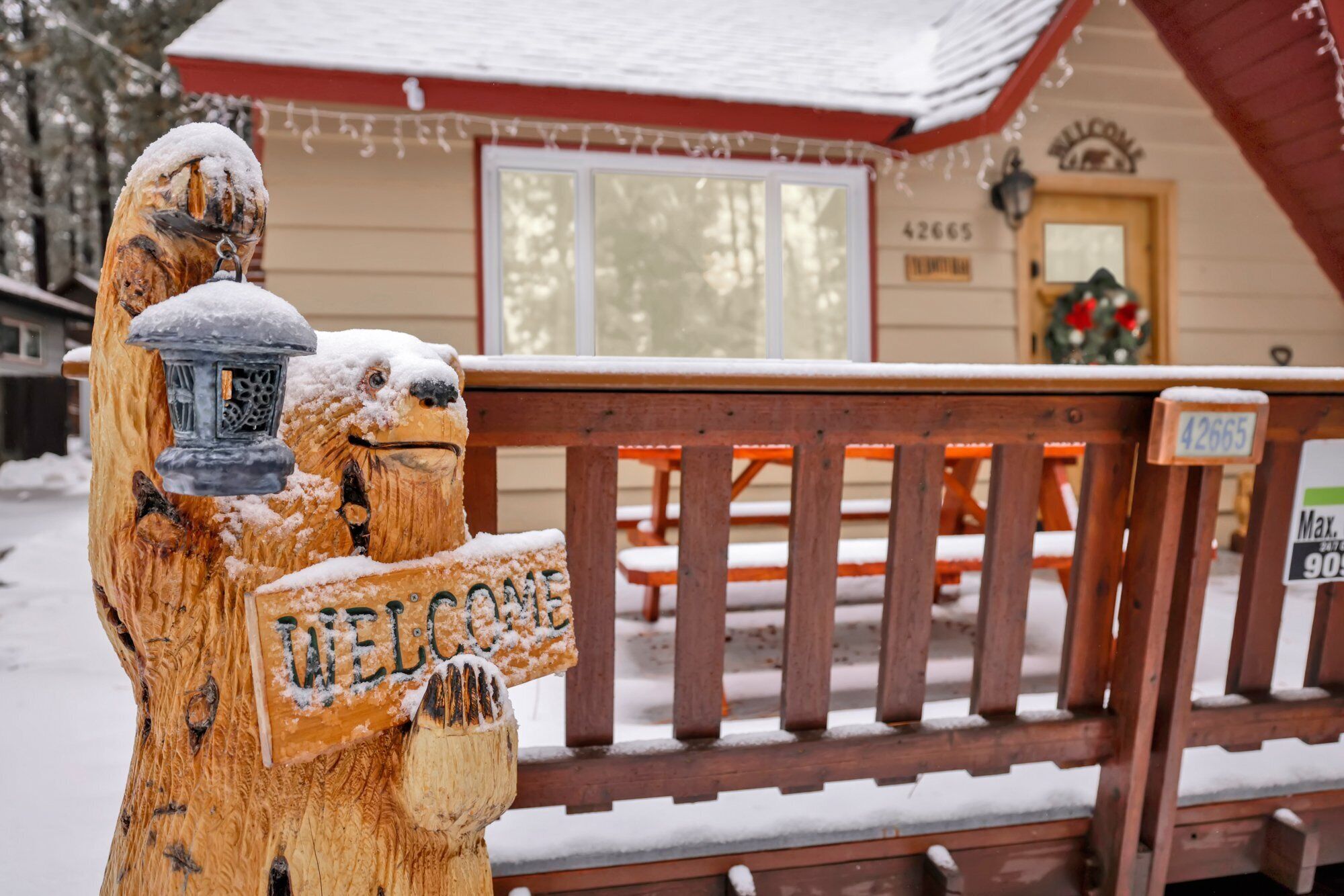 Knotty Bear by Big Bear Vacations