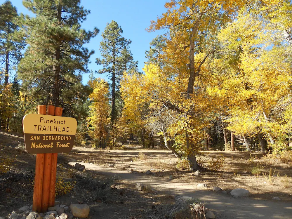 Moonridge Cabin With A View