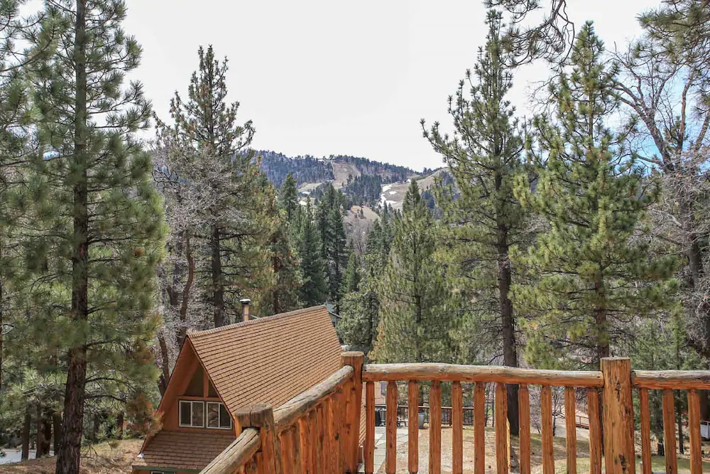 Moonridge Cabin With A View