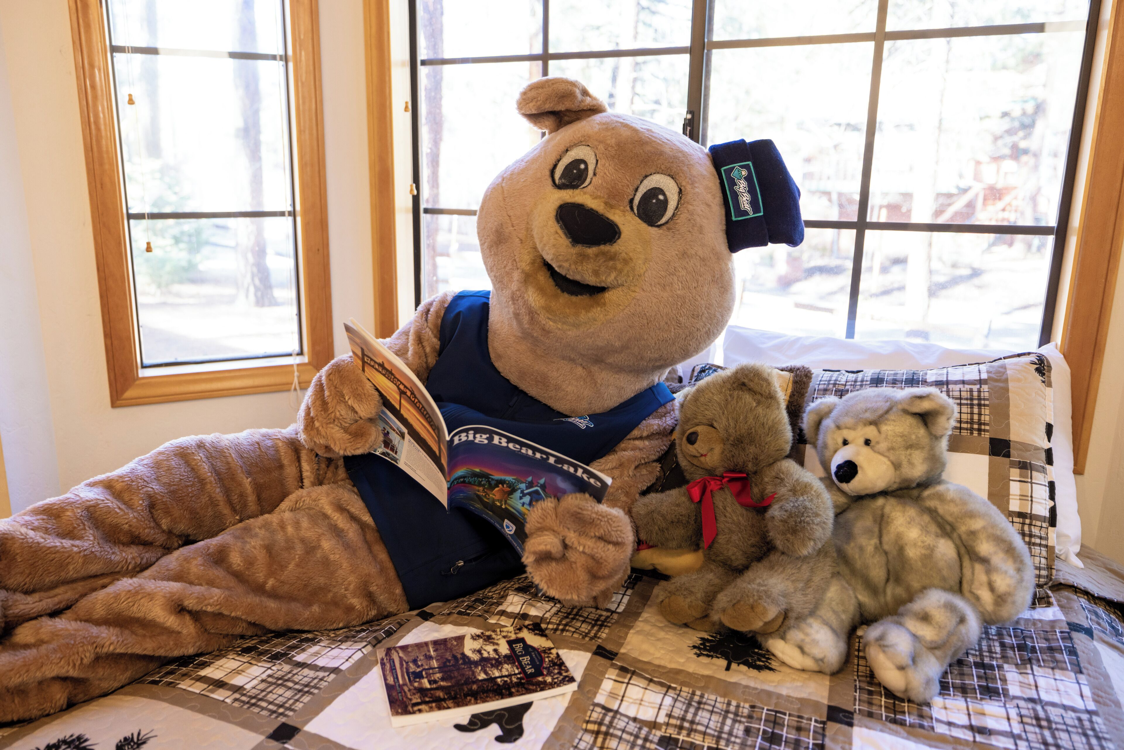 Retreat To Fox Farm by Big Bear Vacations