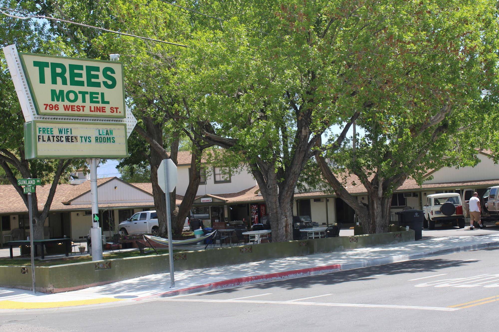 The Trees Motel