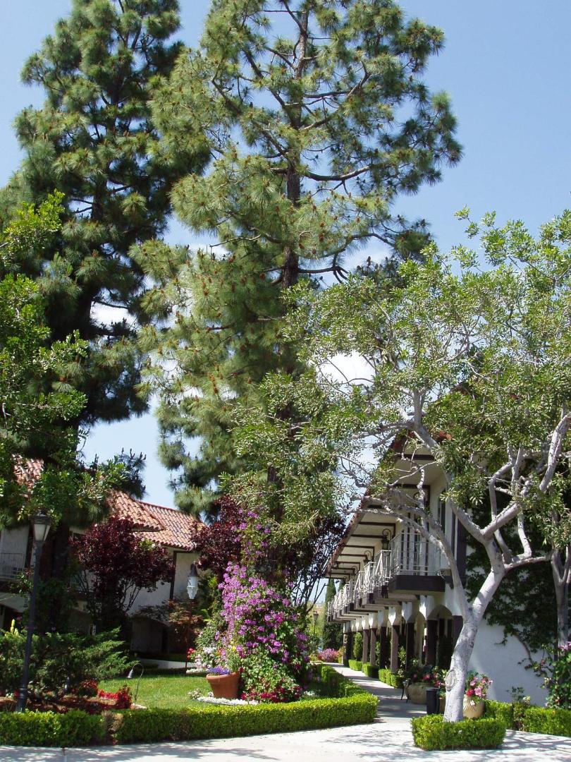 Laguna Hills Lodge